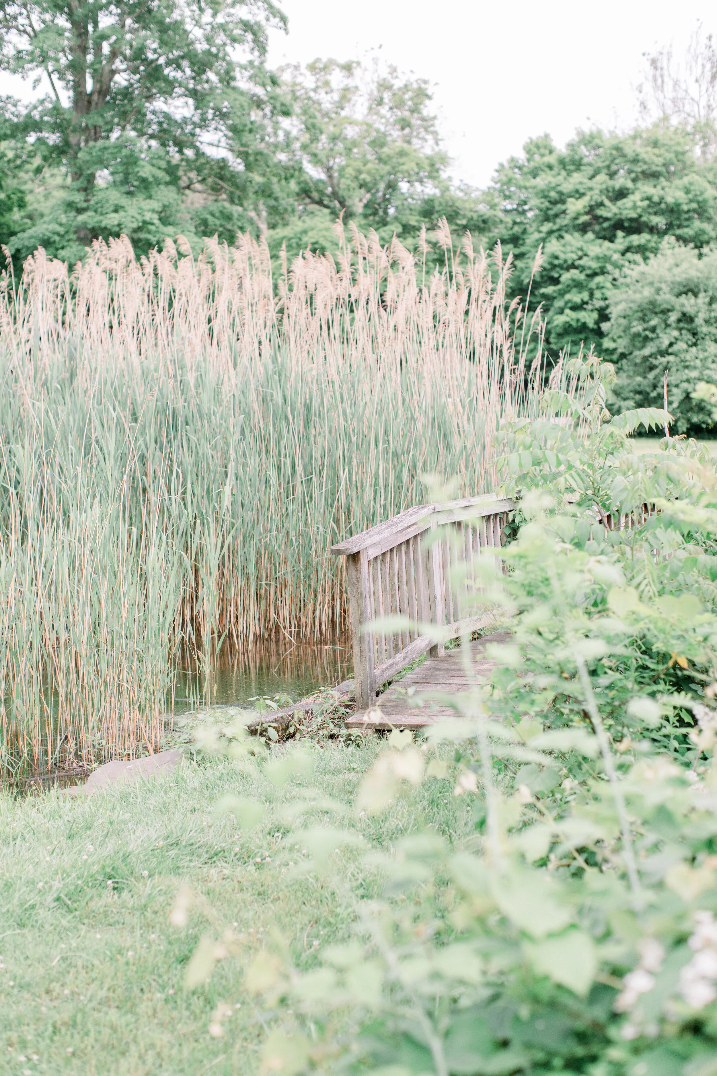 CassiClaire_Bronstein_045.jpg