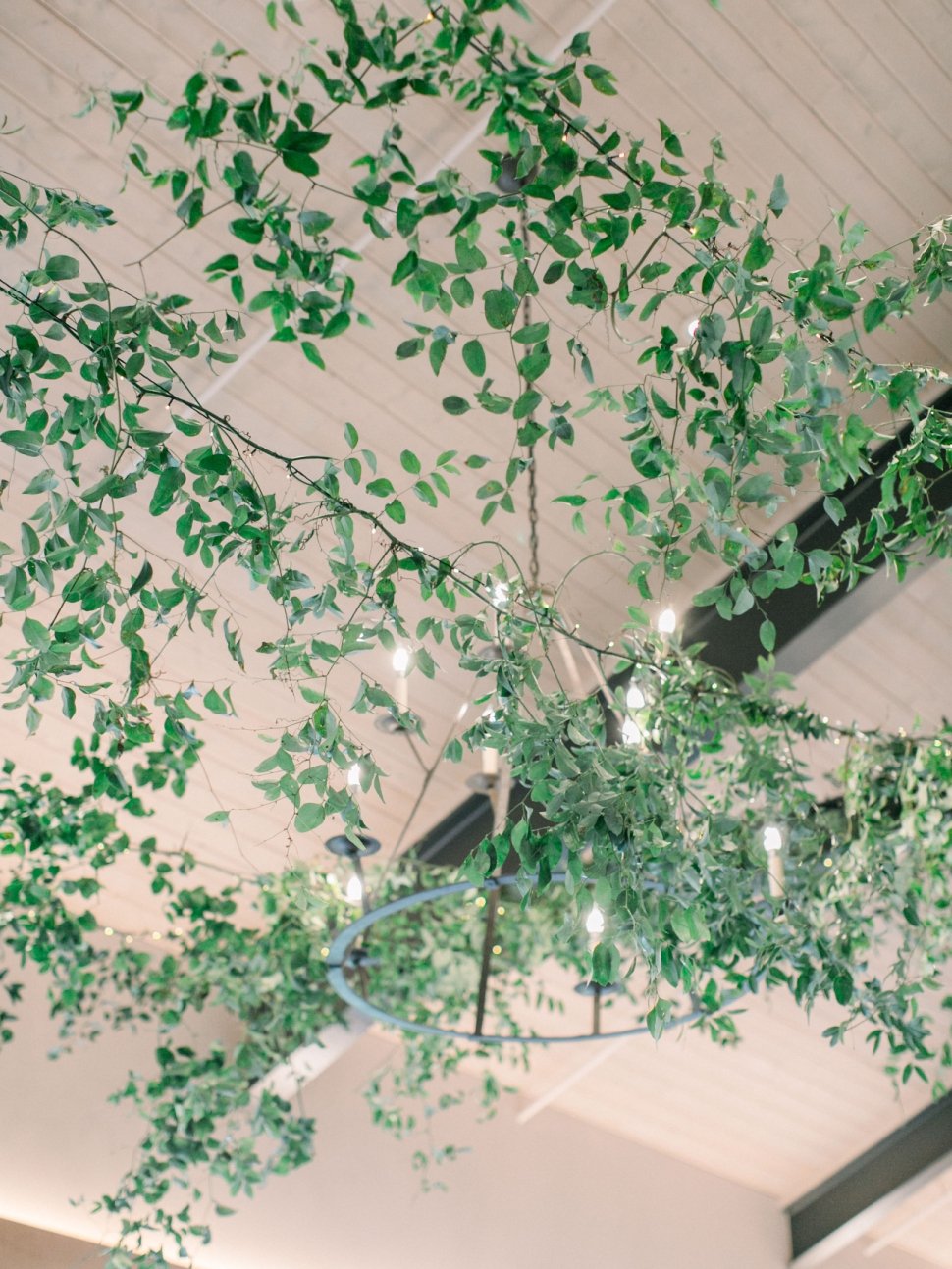 greenery ceiling