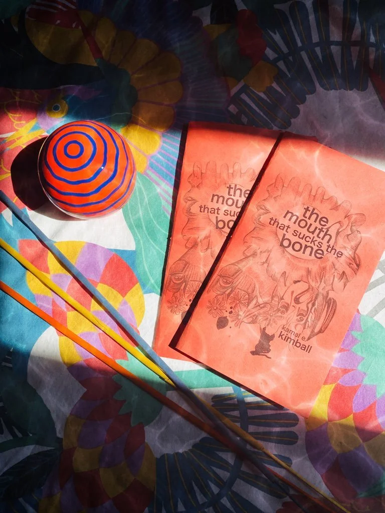 Cover of The Mouth that Sucks the Bone