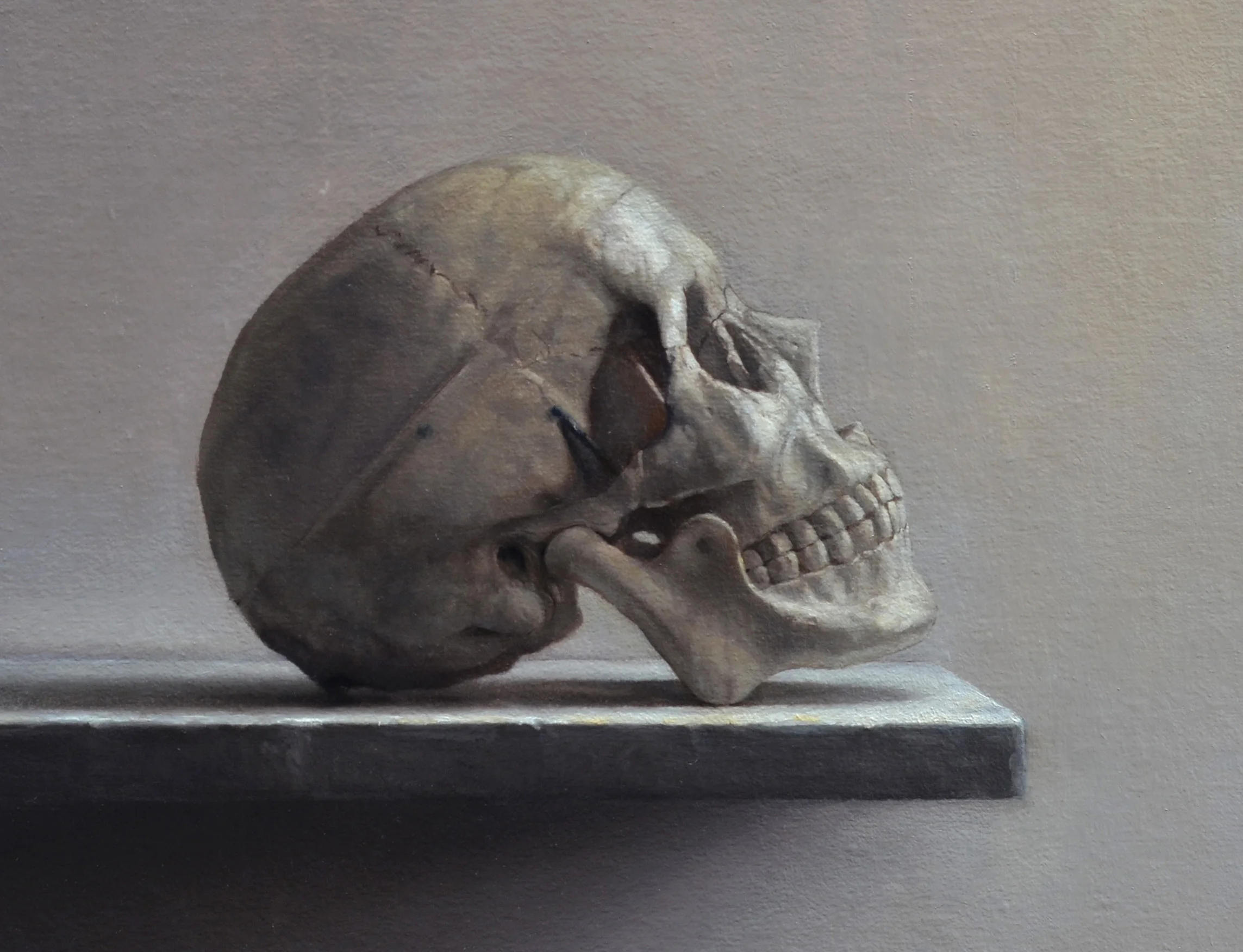   Skull - detail