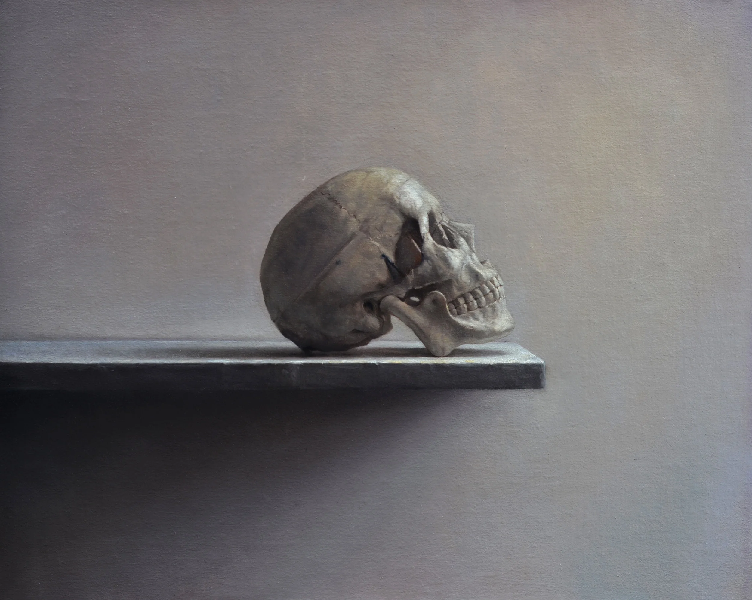   Skull, oil on linen mounted to board, 16" x 20"