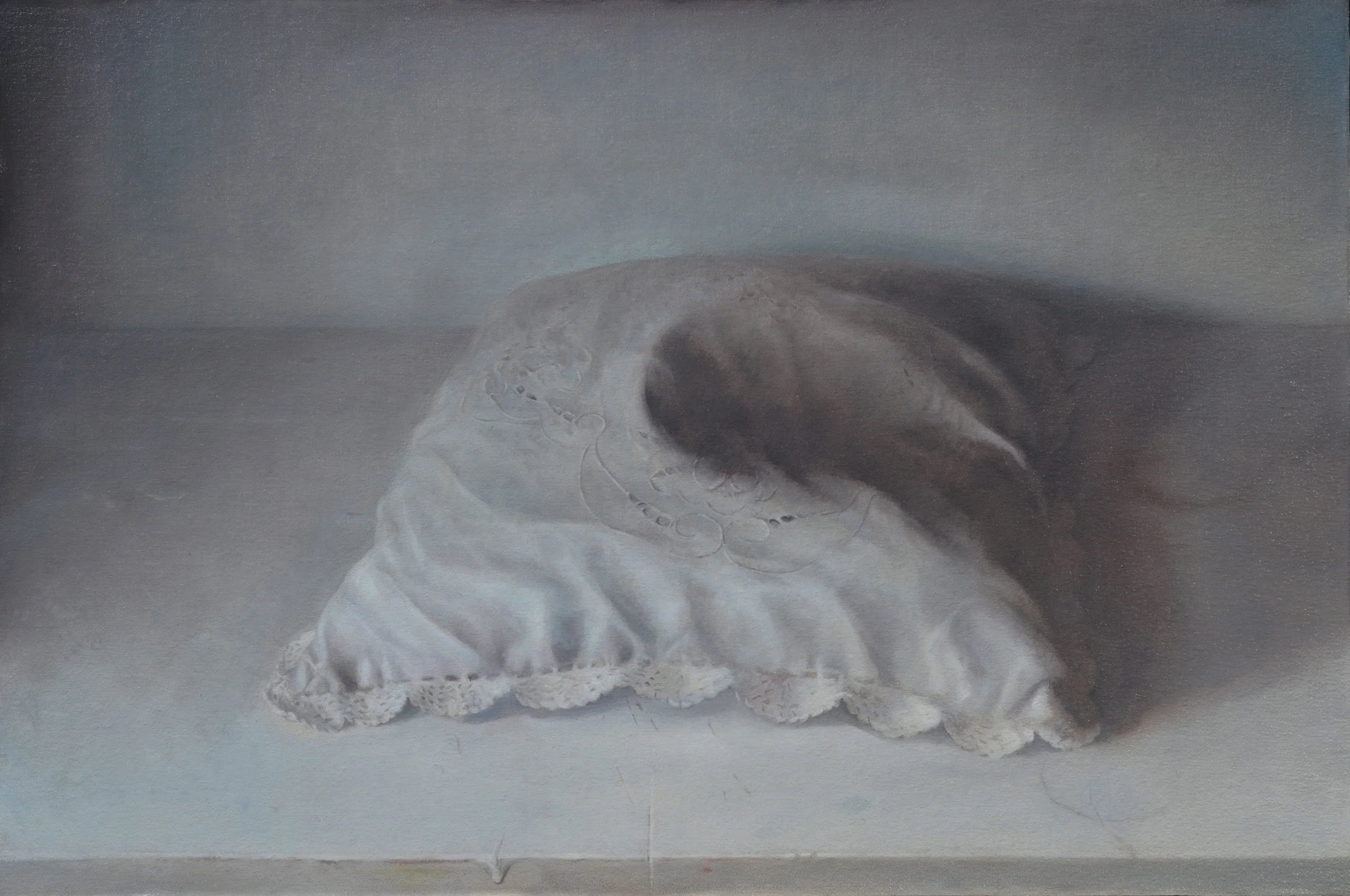   Pillow, oil on linen mounted to board, 16" x 22"
