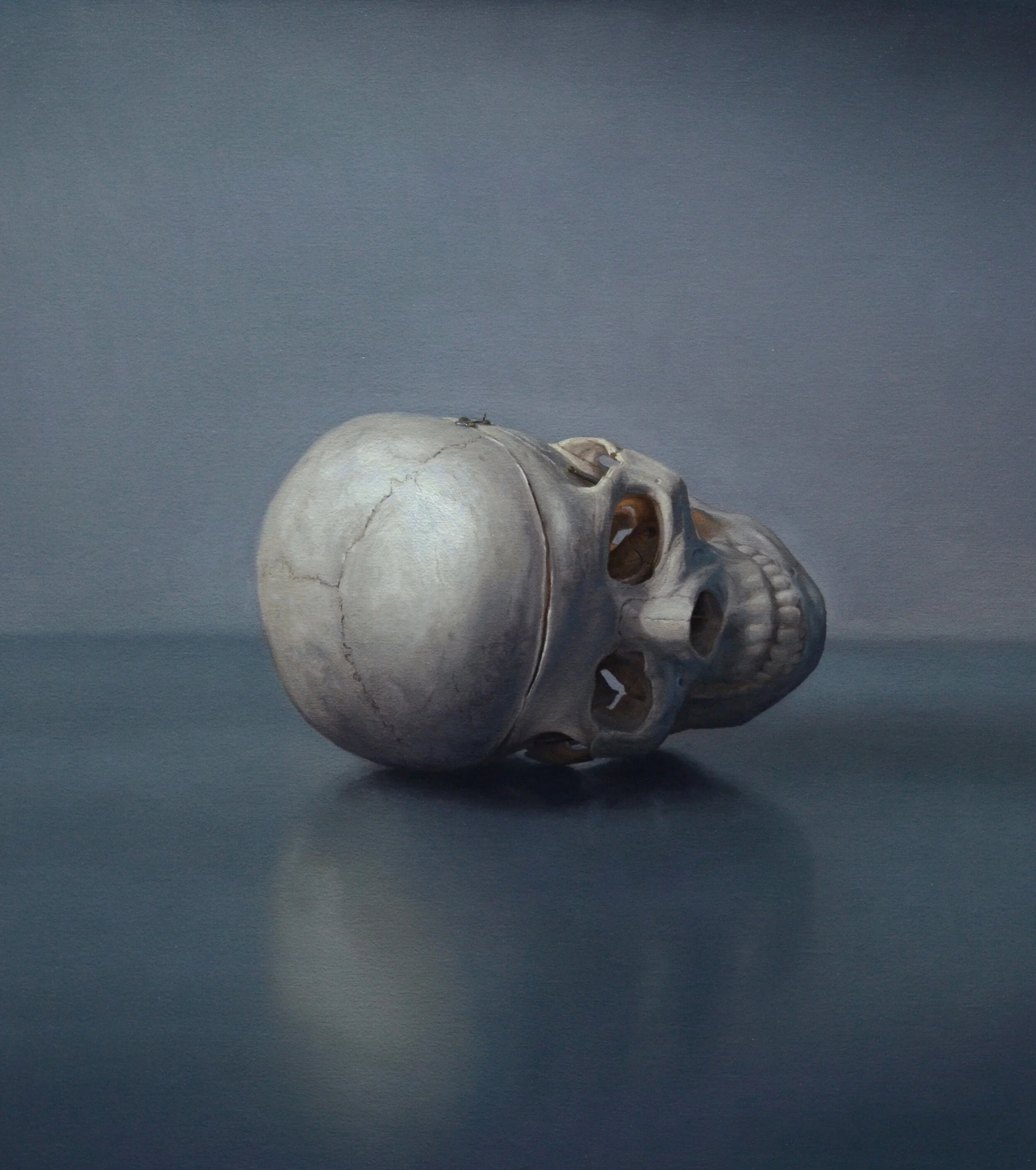 Skull, oil on linen mounted to board, 20" x 16"