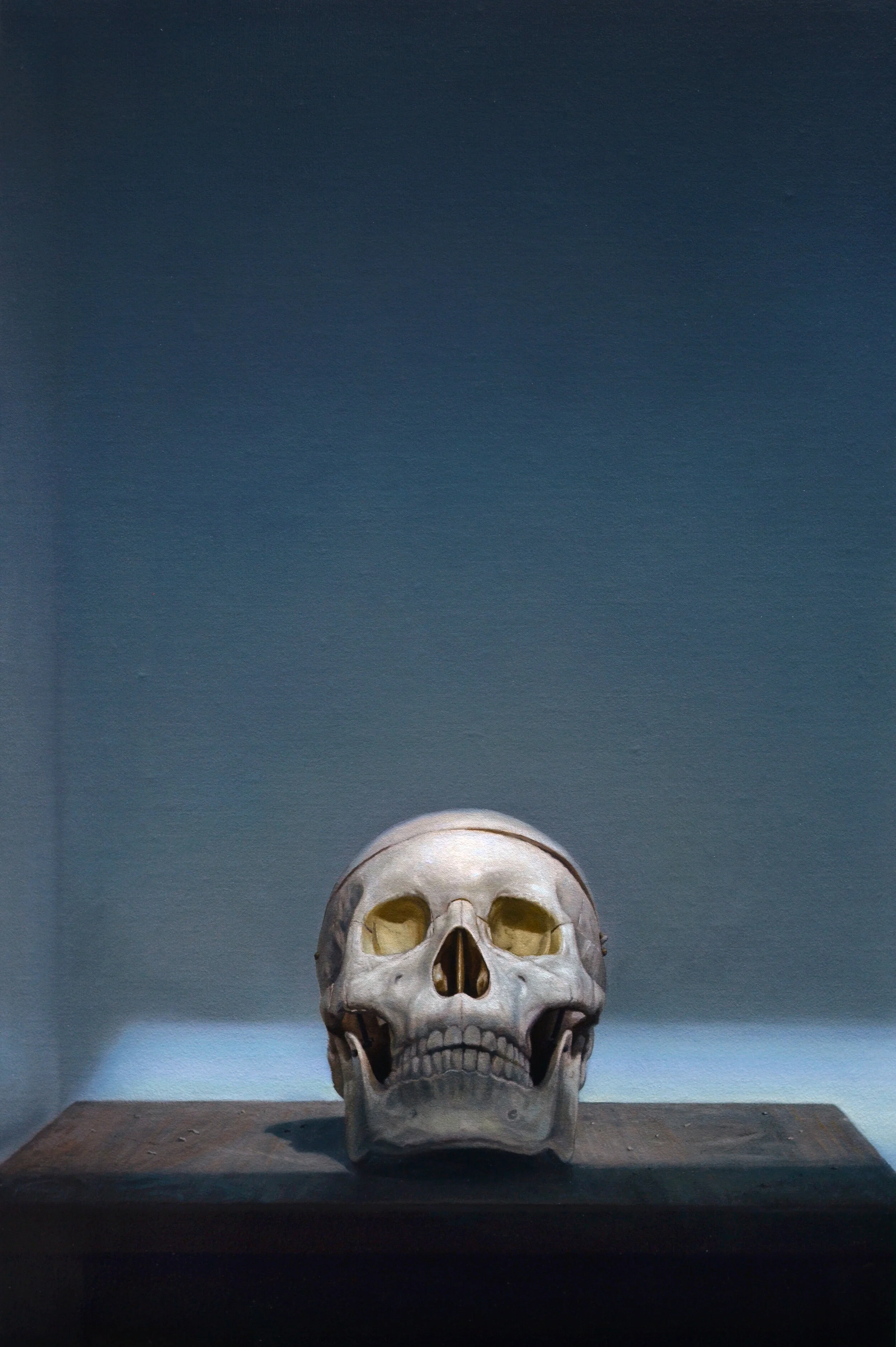 Skull, oil on linen mounted to board, 24" x 16"