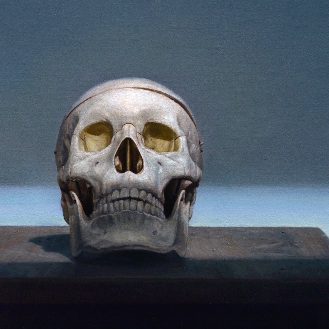 Skull, oil on linen mounted to panel, 24&rdquo; x 16&rdquo;
.
On view @harlangalleryshu for the Faculty Exhibition.  Lot&rsquo;s of great work to see!