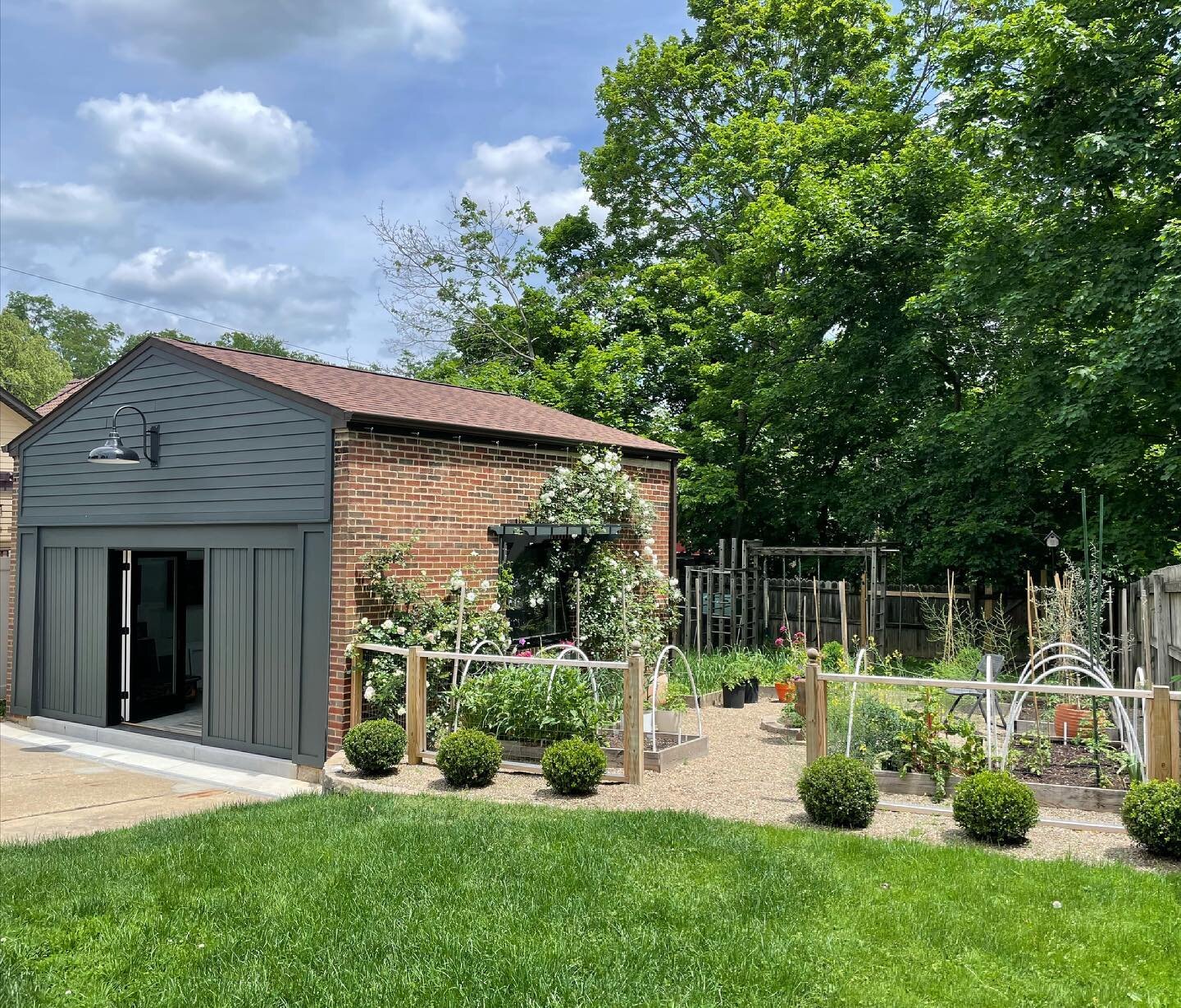 The studio garden is alive again!  The climbing roses, in their 3rd year, are now coming into their own.  Most of the veggies are in the ground and the lemon and olive trees are outside for the summer.  Swipe for a gratuitous 🐶 photo and roses 😉
.
