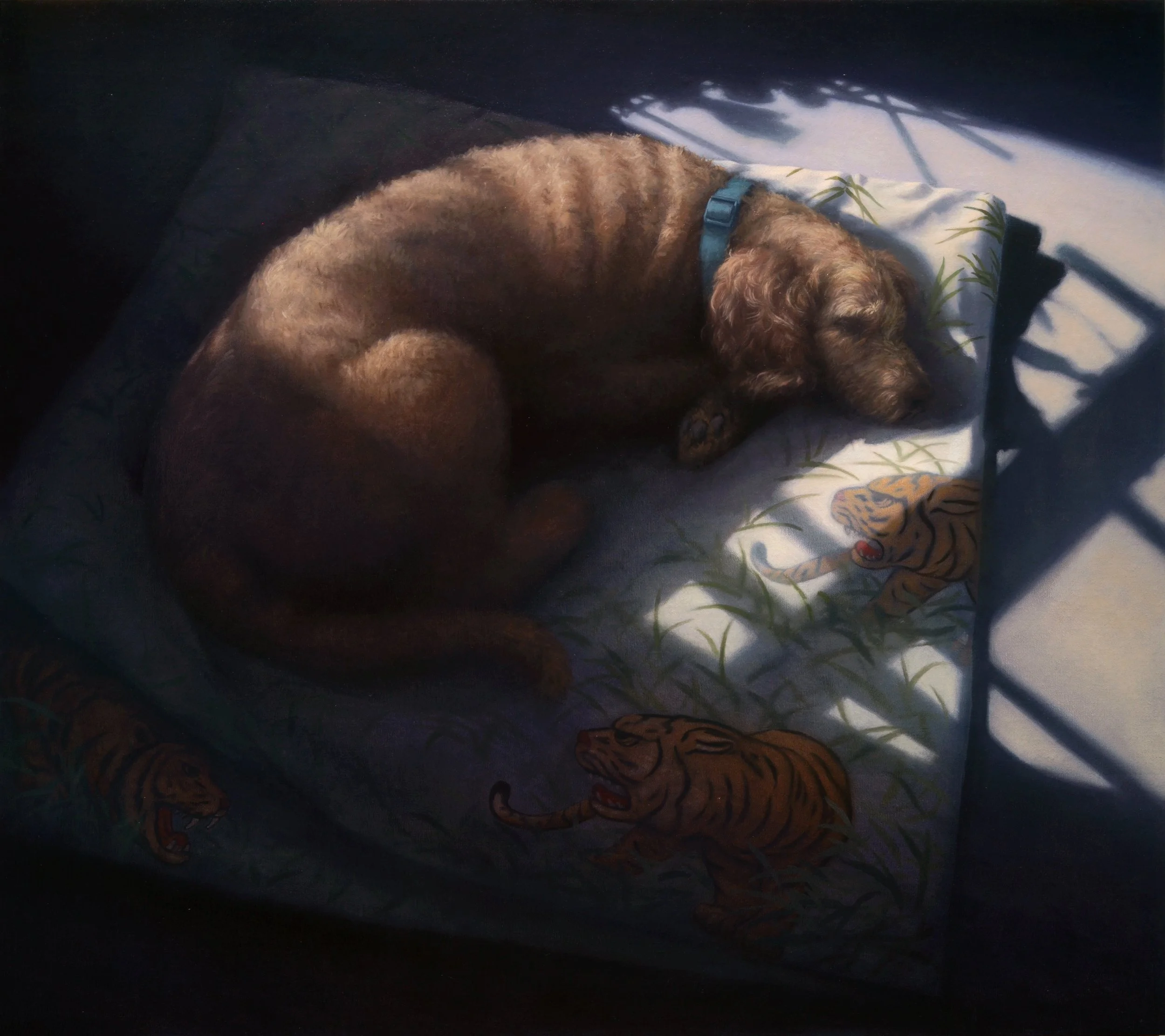 Sleeping.Dog.DSC_9147.lt..jpg
