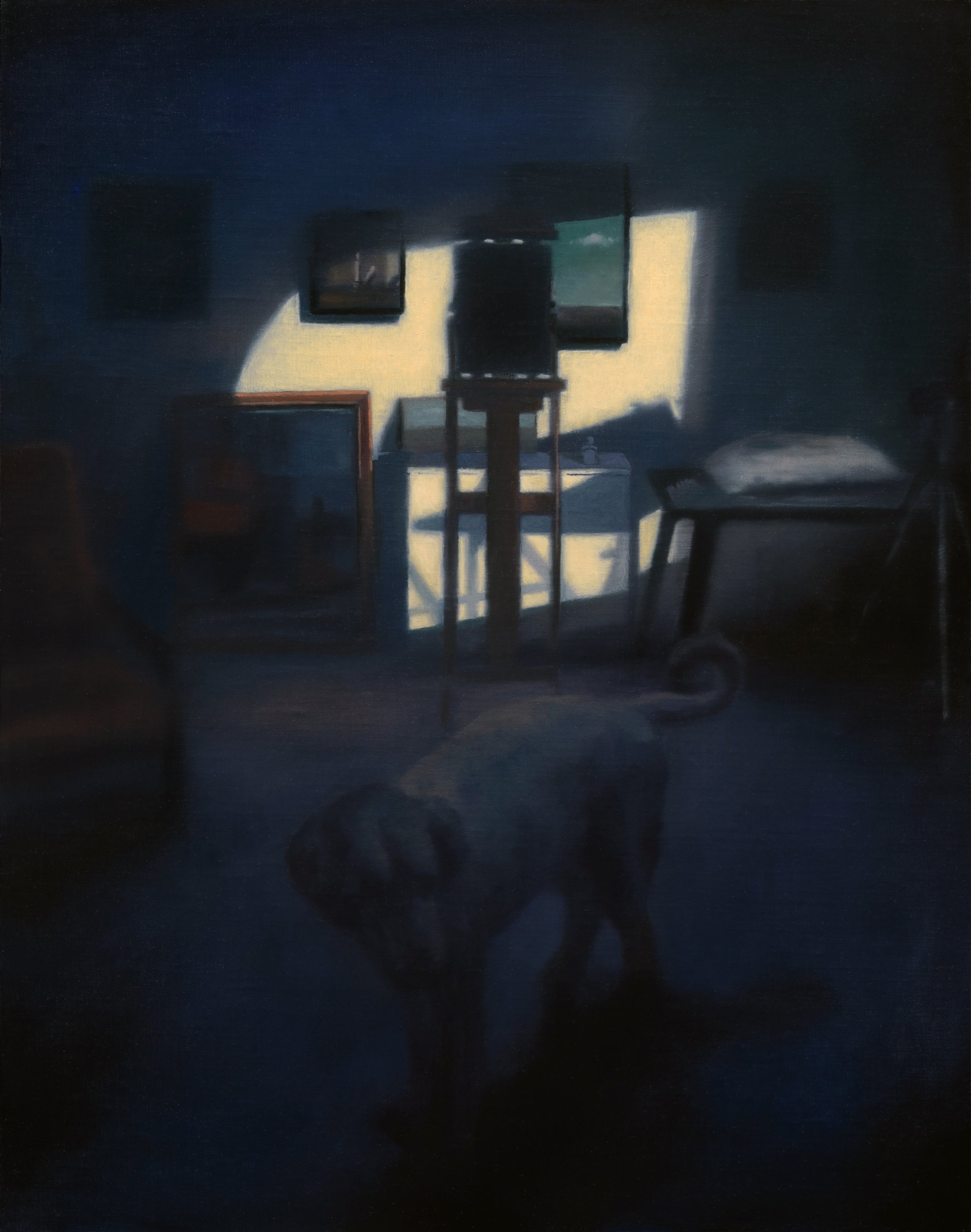 Night.Studio.Dog.jpg