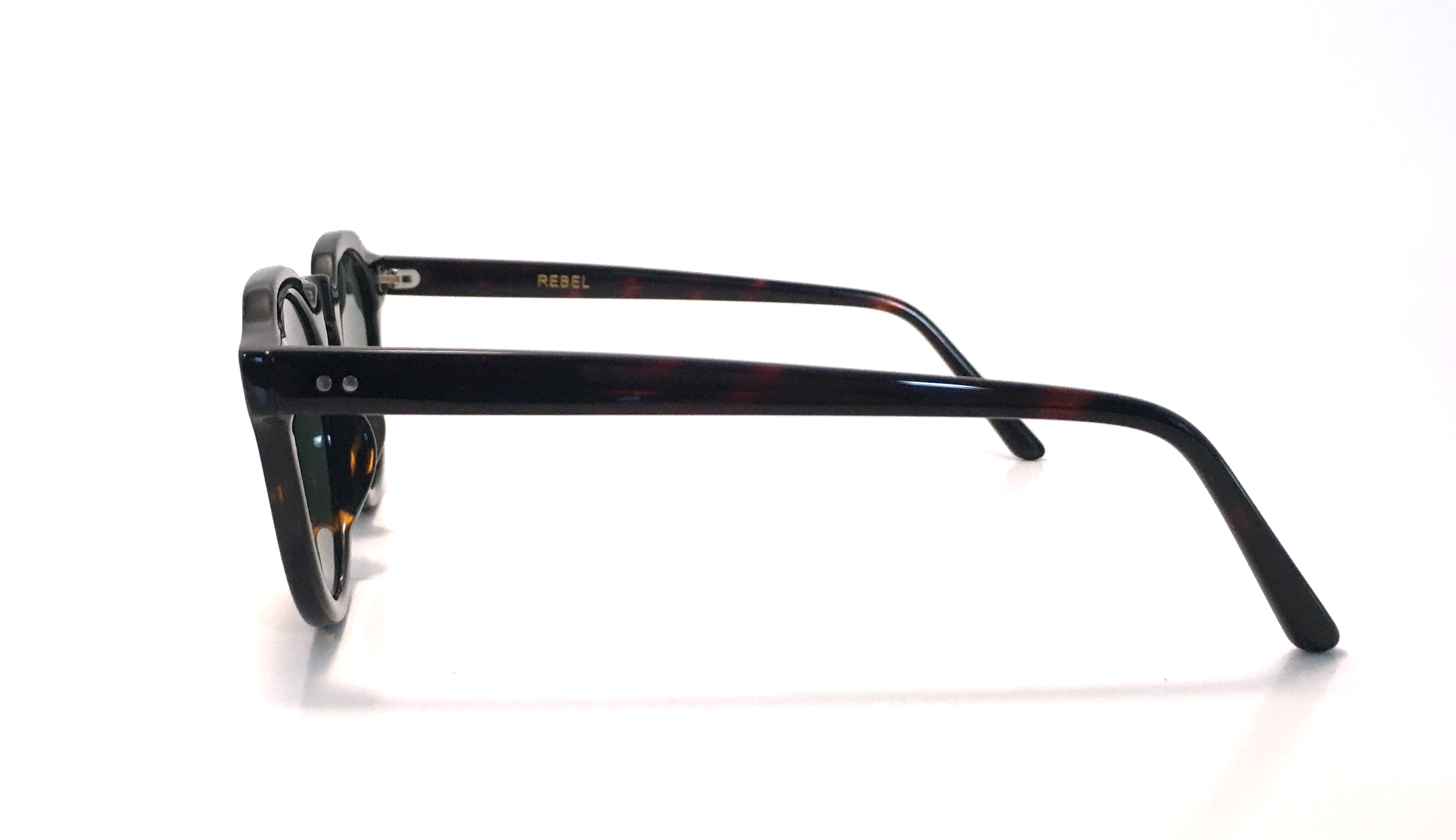 Frame B tortoise side.png