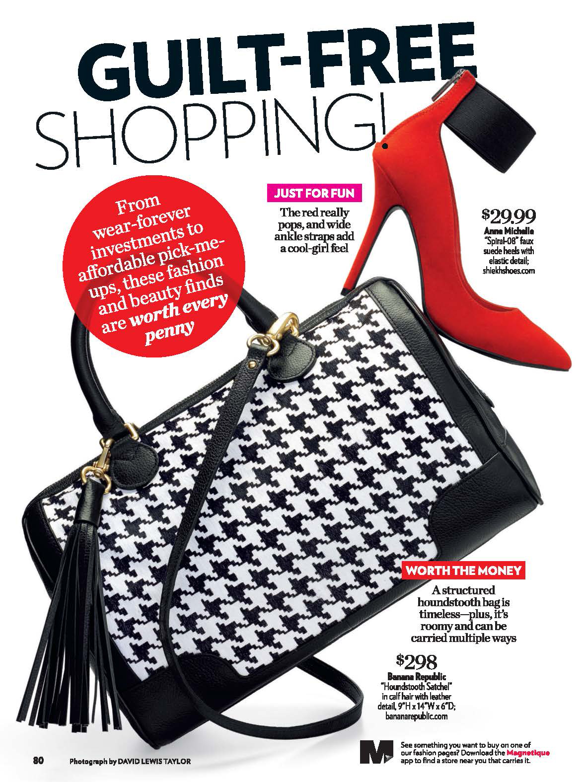 PSW Houndstooth bag + Red shoe .jpg