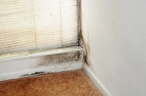 5altsecFEMA_-_44263_-_Mold_Remediation_Awareness.jpg