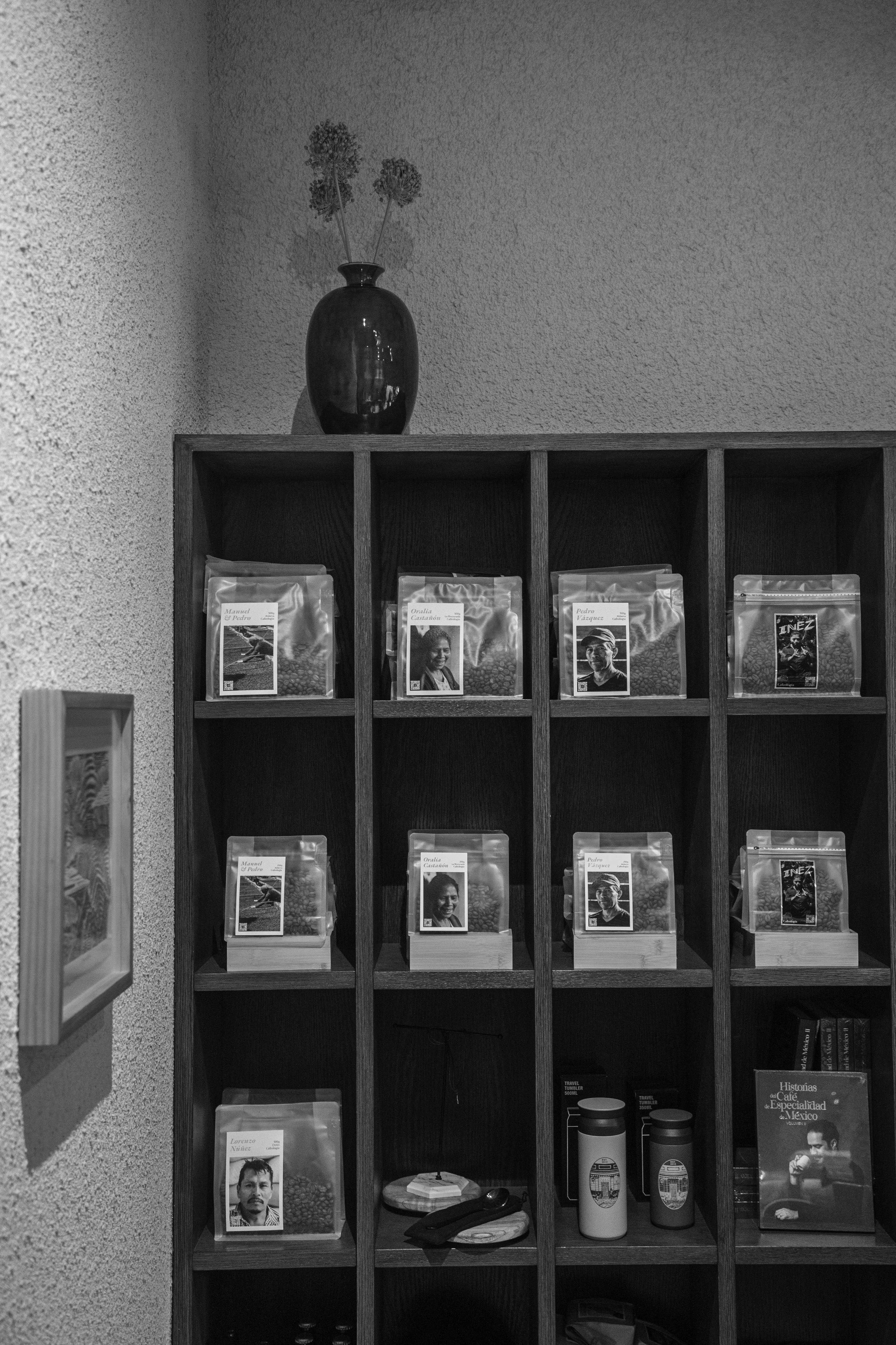 CAFEOLOGIA-COYOACAN-231025-JP-002.jpg
