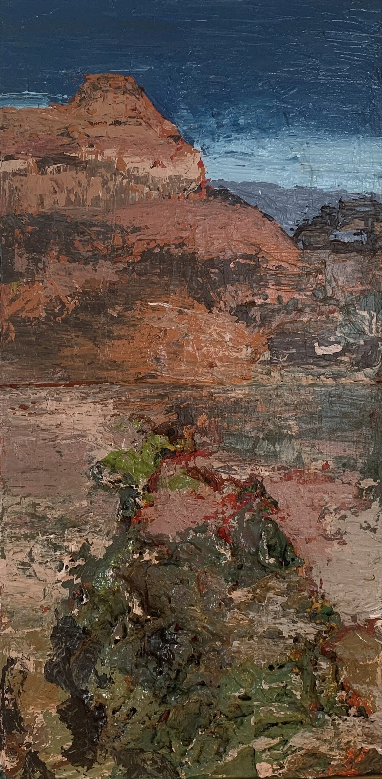 "utah" 12x24 acrylic on canvas, 2020