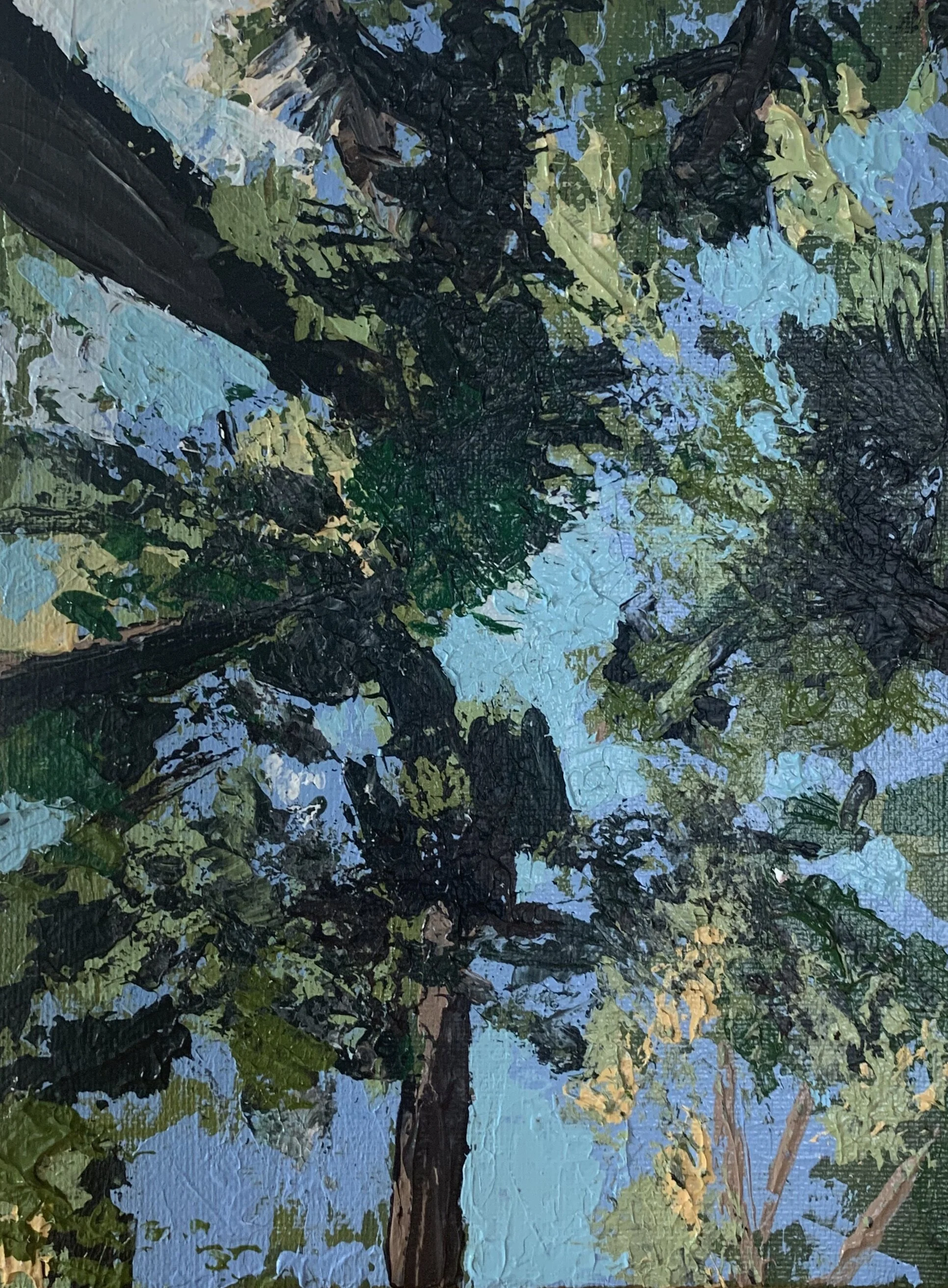 "look up" 8x10 acrylic on panel 2020