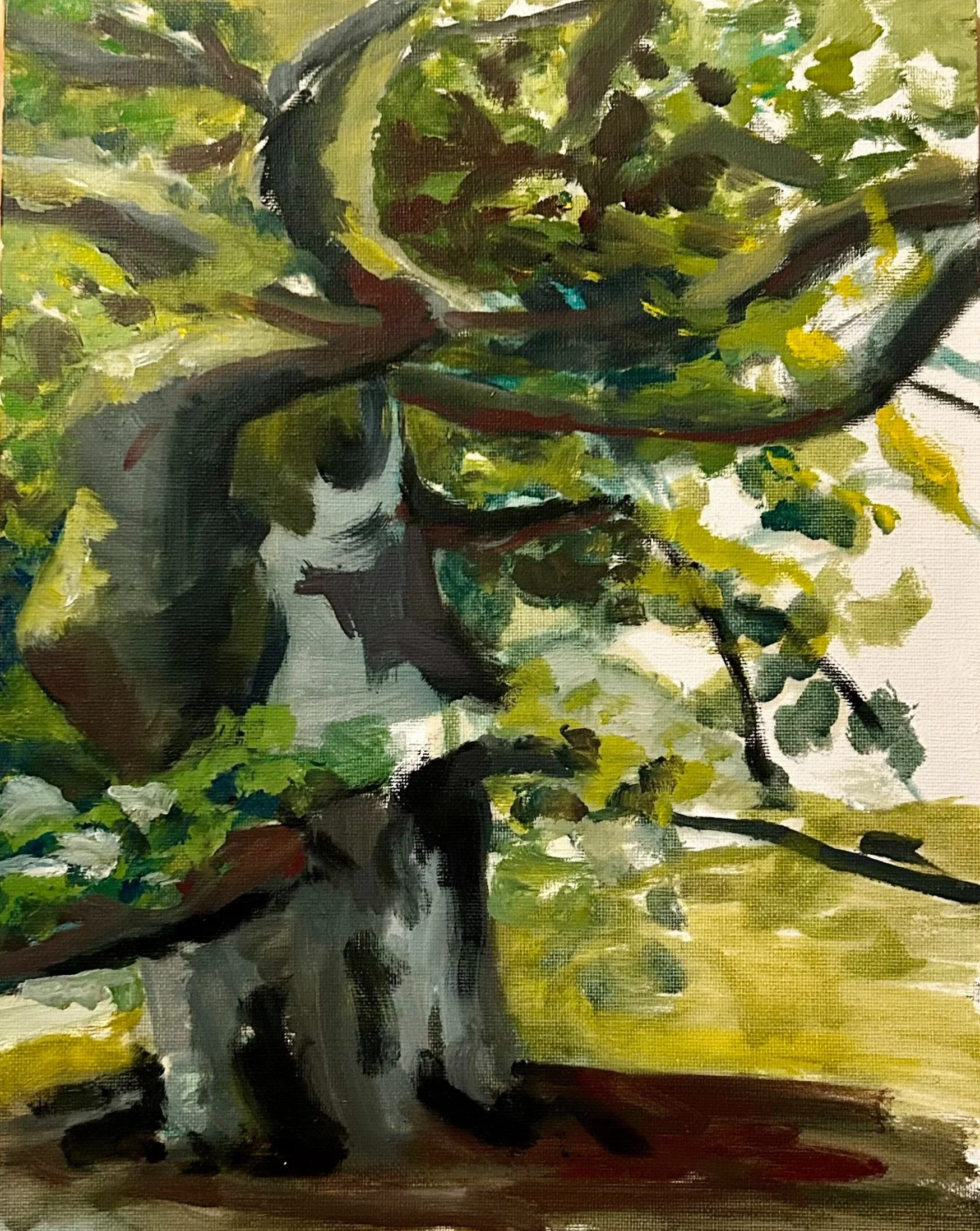 "beech" 9x12 oil on panel, 2024