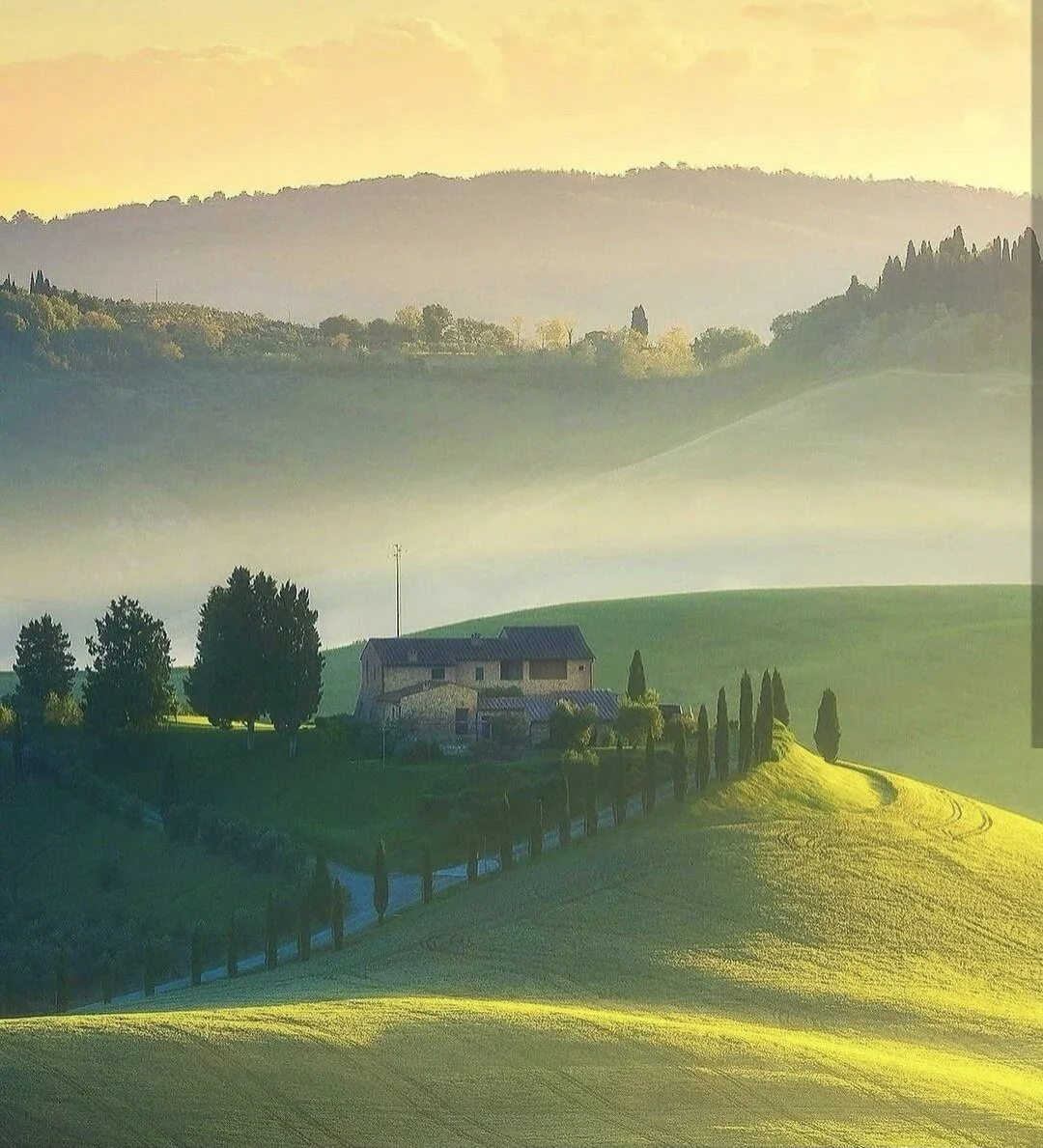 Grasso Gatto estate.jpeg