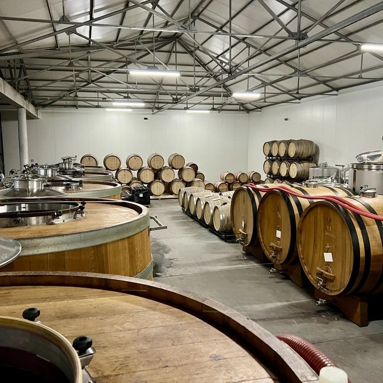 Textura - cellar.jpeg