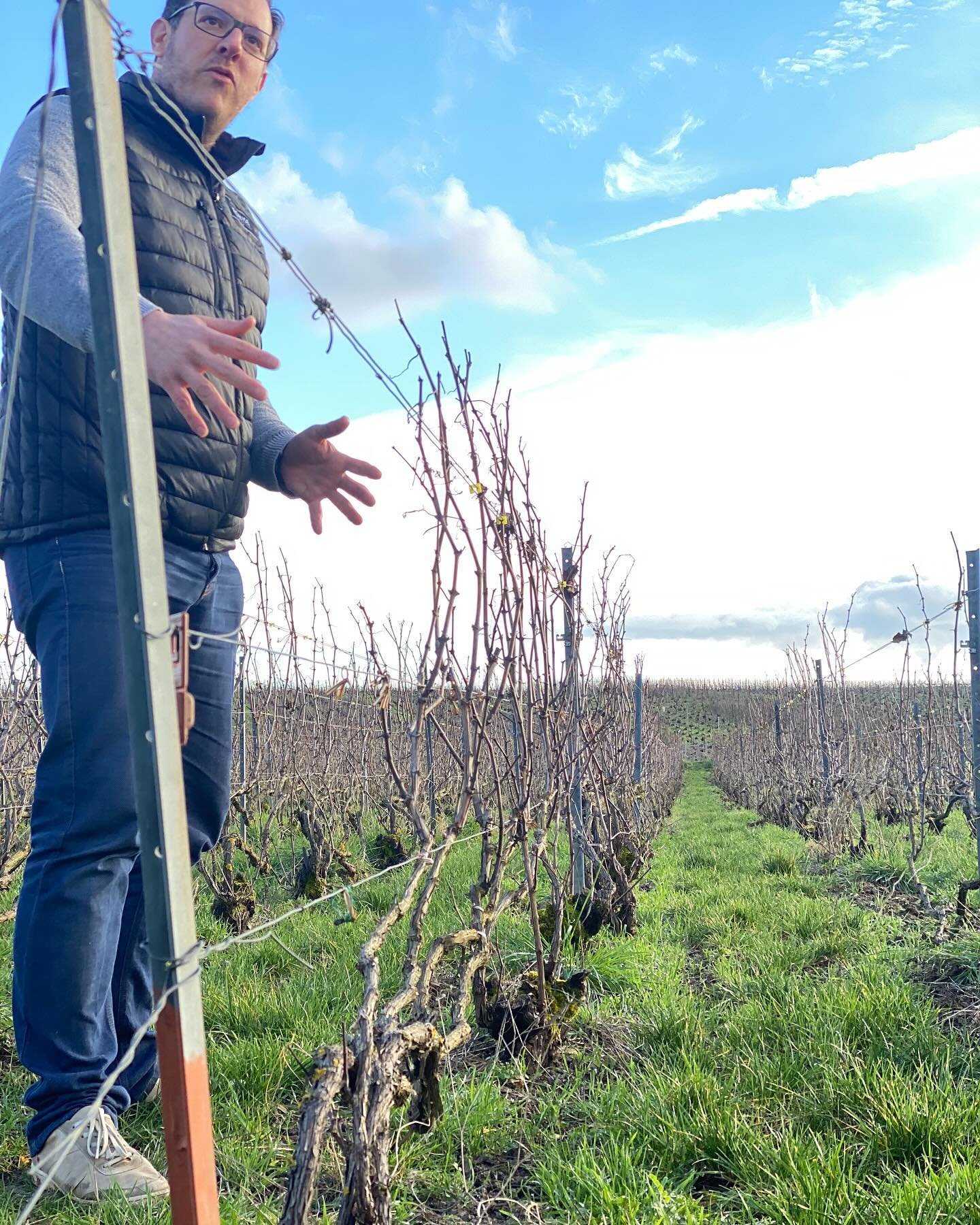 🍾 New Champagne in the Carolina&rsquo;s!! 🥂

We are very pleased to welcome the wines of St&eacute;phane Regnault to the North &amp; South Carolina markets. 

With choice holdings exclusively in the Grand Cru villages of Les Mesnil &amp; Oger. St&e