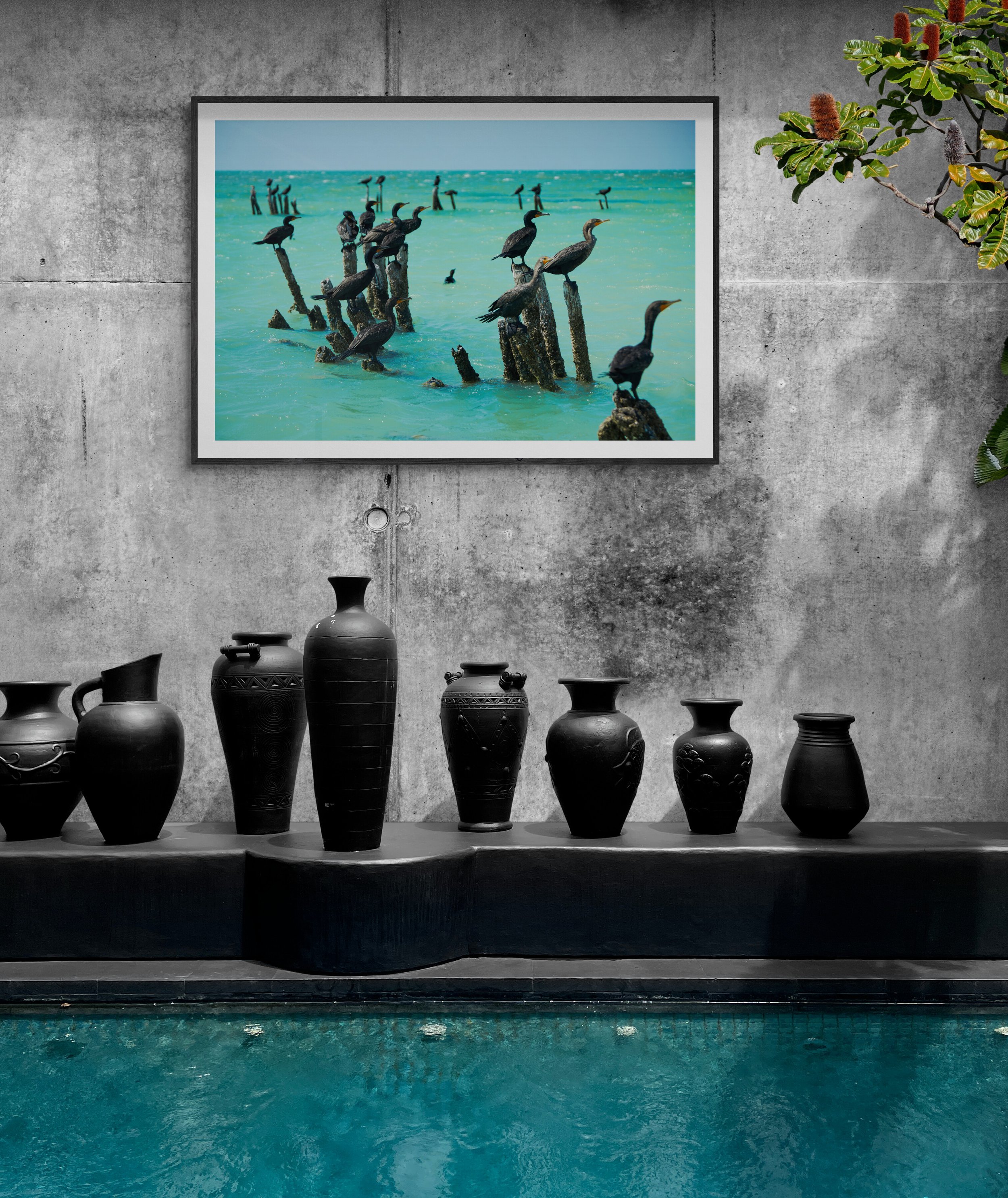 Luxury_pool_with_black_urns.jpg
