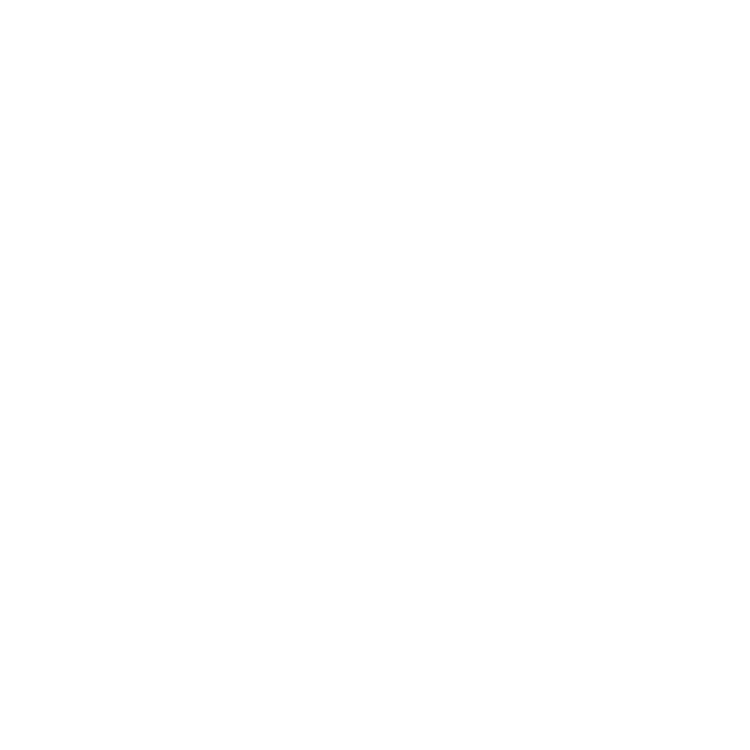A Fabulous Soiree