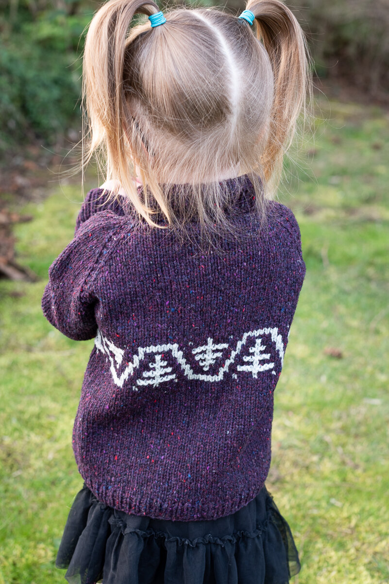Forest Park Junior Children's Sweater Knitting Pattern — Knit for the ...