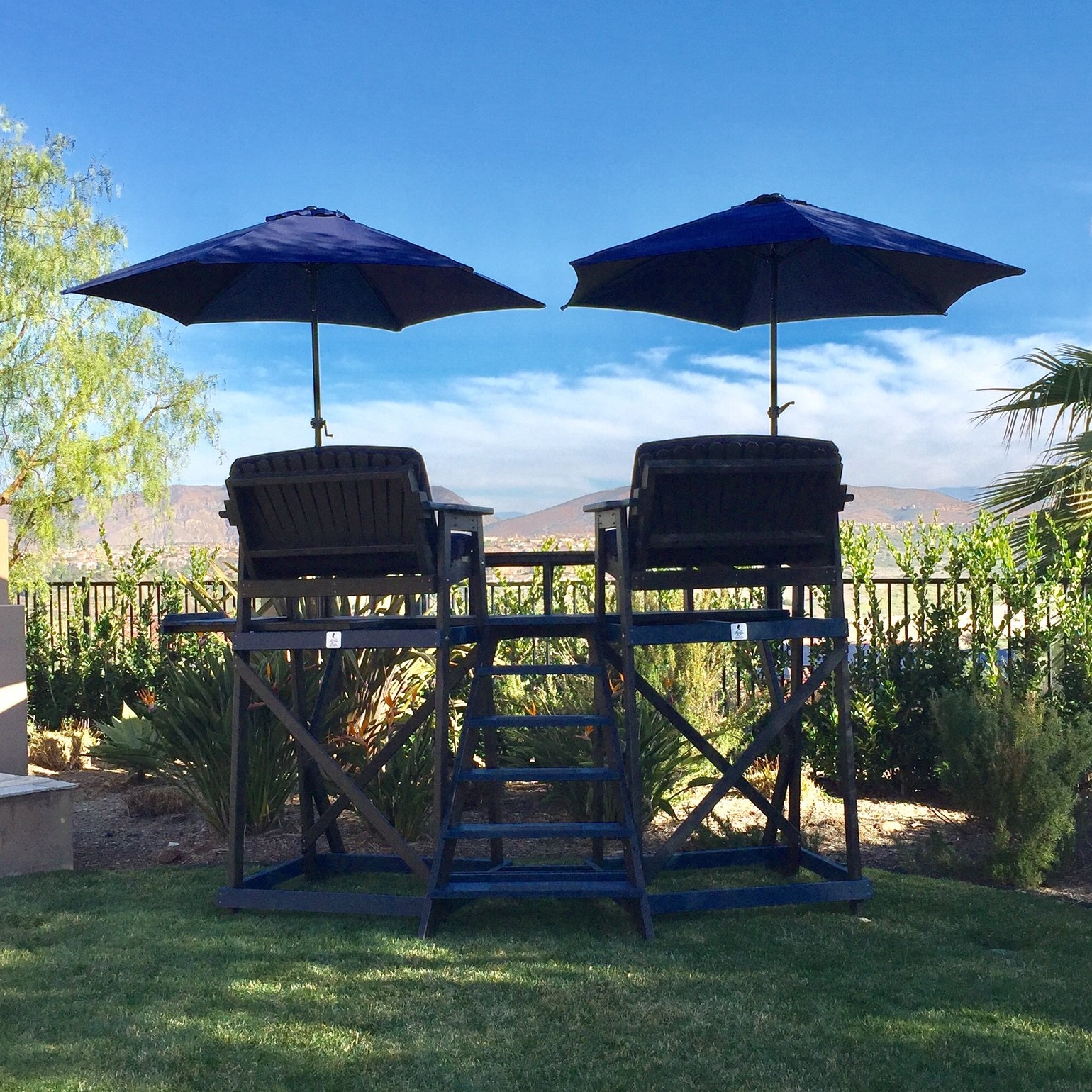 The Double Dove Chair