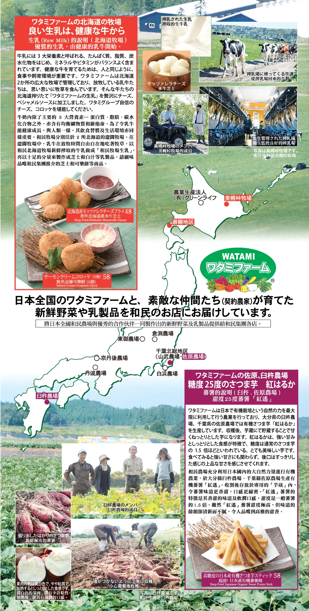 P20.jpg