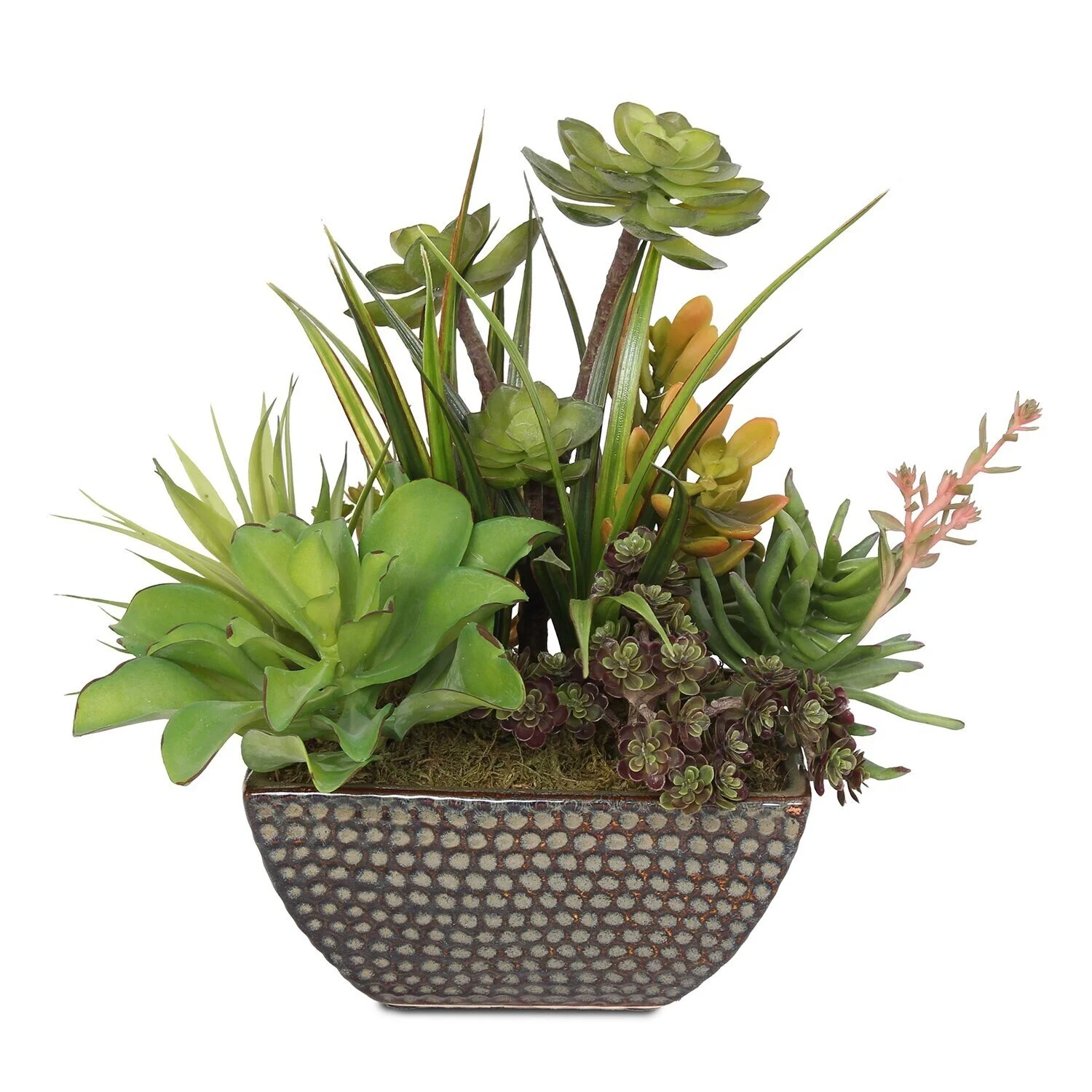 Artificial Succulents