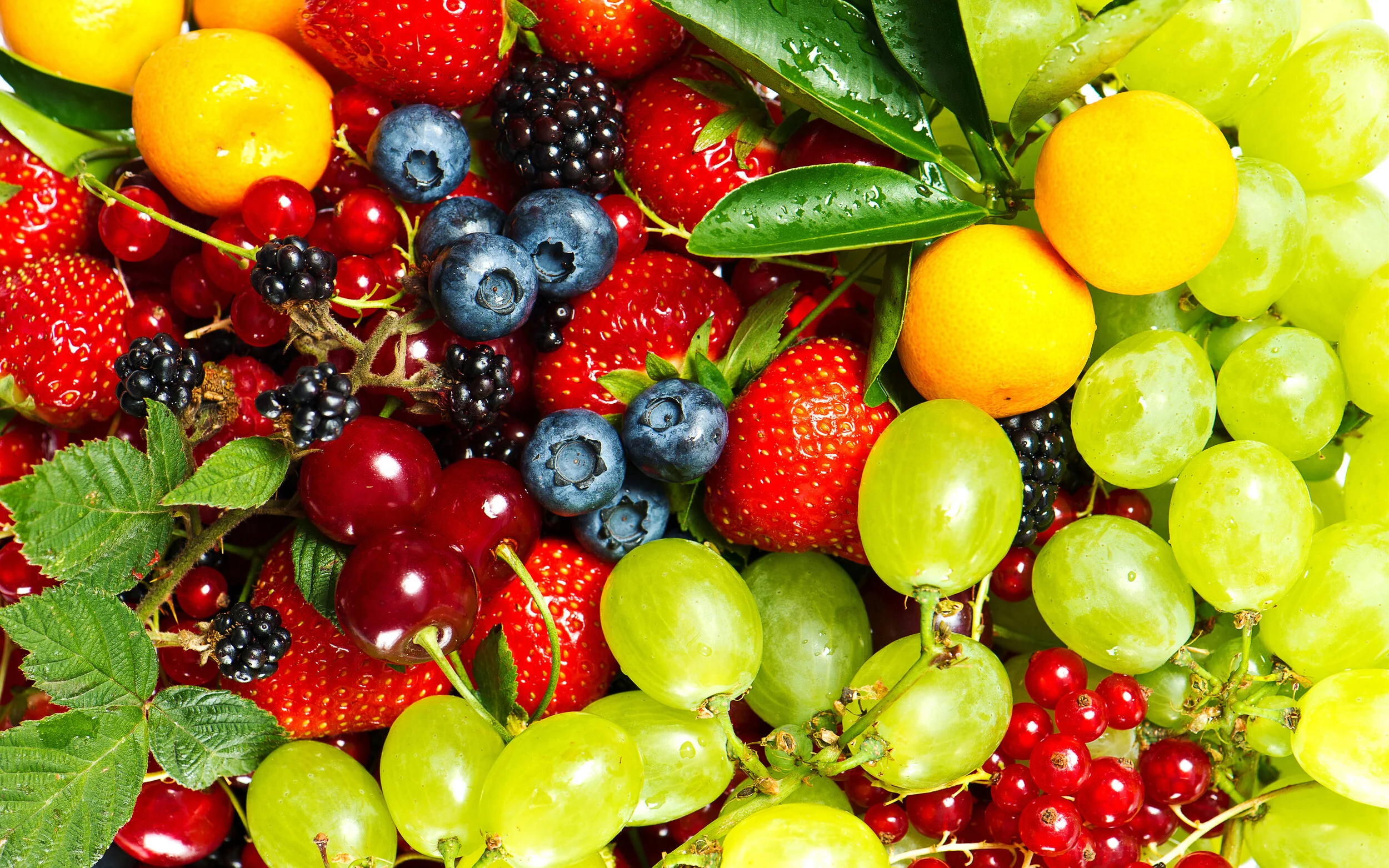 fruit2412.jpg