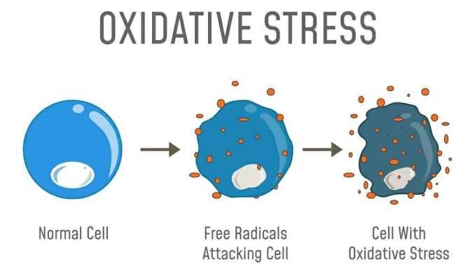 oxidative-stress.jpg