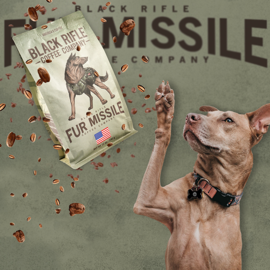 Fur_Missile_Sub_menu_Block_V2 1.png