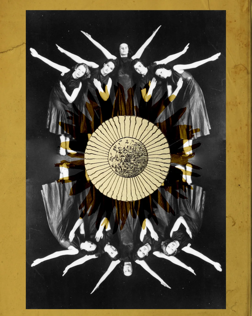 Planktoniella Sol