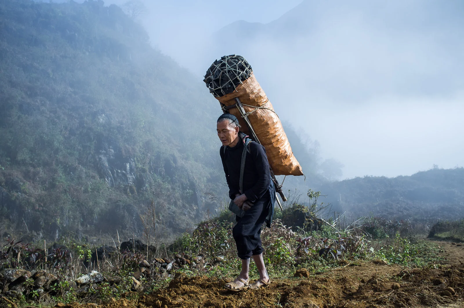  Hmong man transports charcoal, highlands, northern Vietnam. 