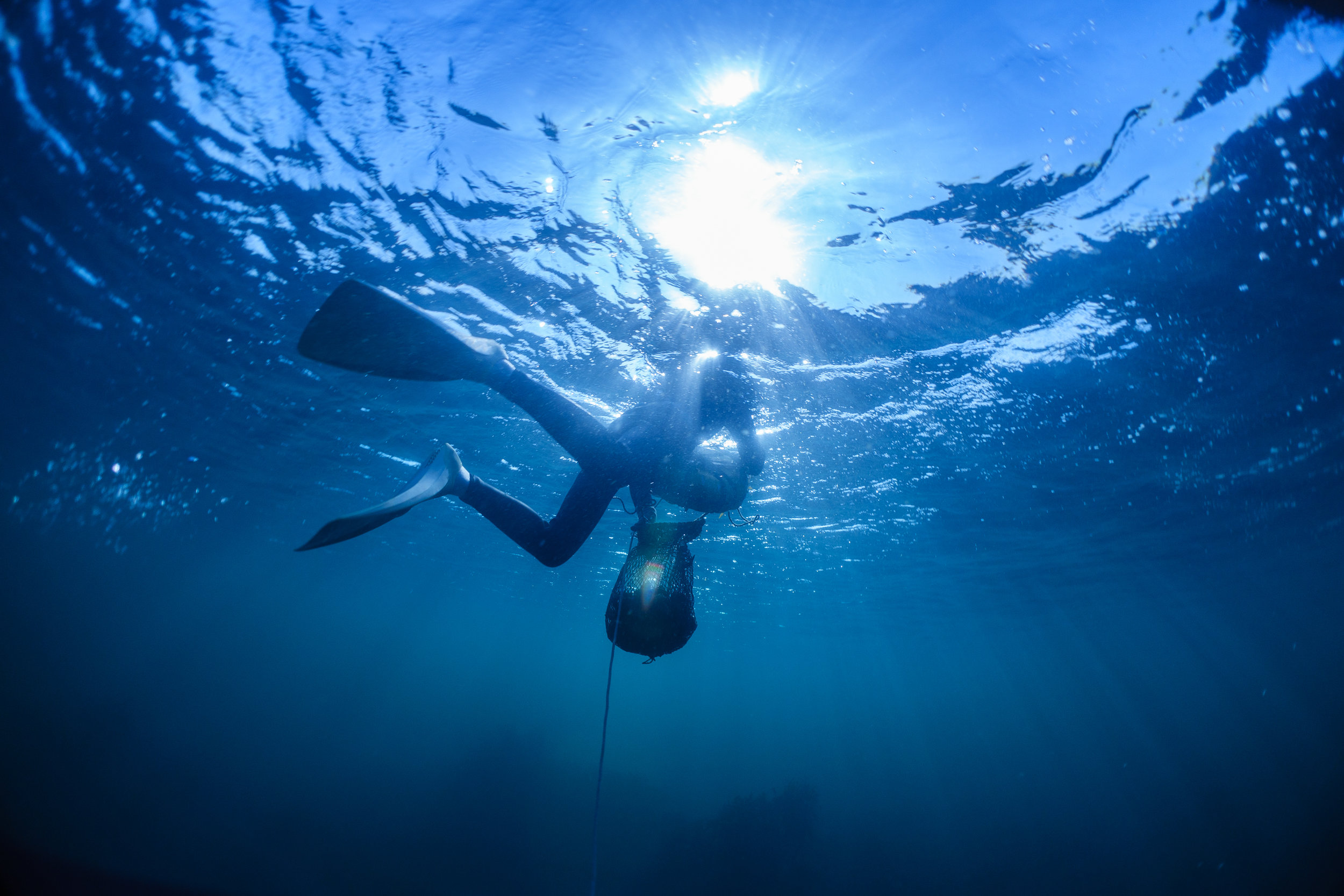  Most veteran divers haunt the same grounds for decades. Their knowledge of the reef is borne of countless hours of diving. 