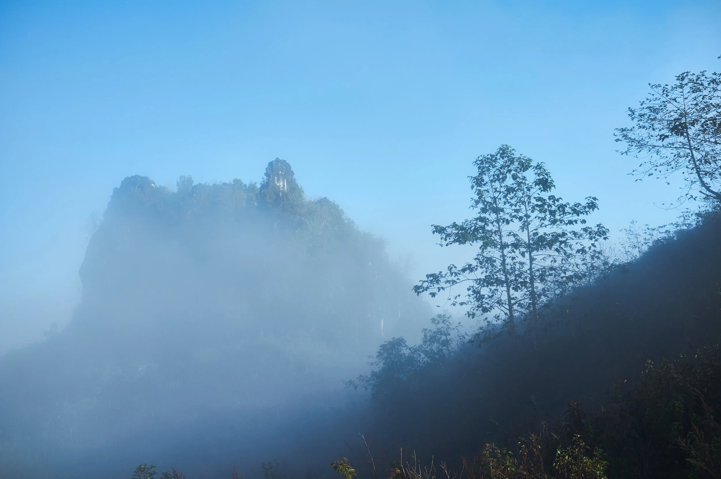 DSCF3911.jpg