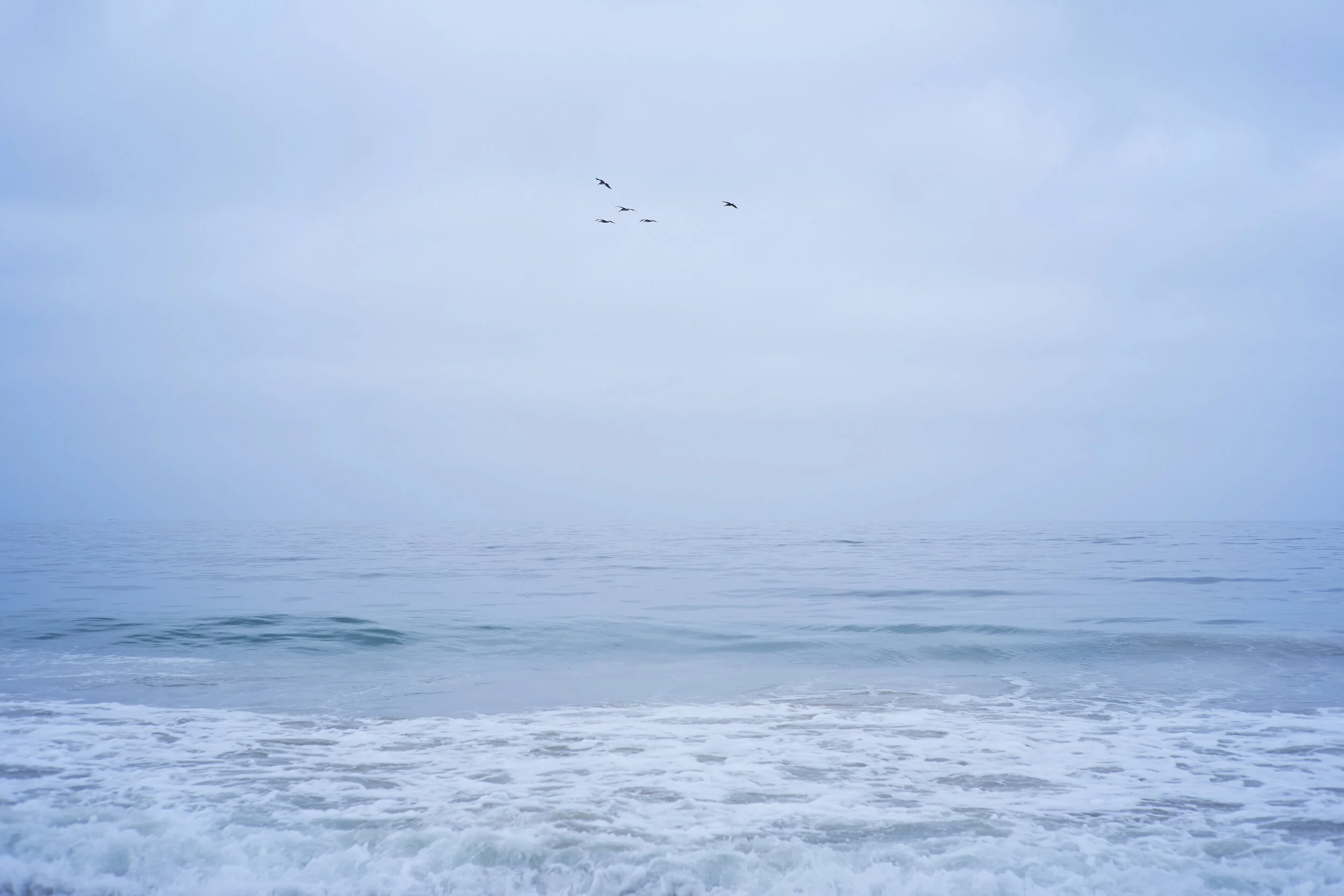 Flight.jpg
