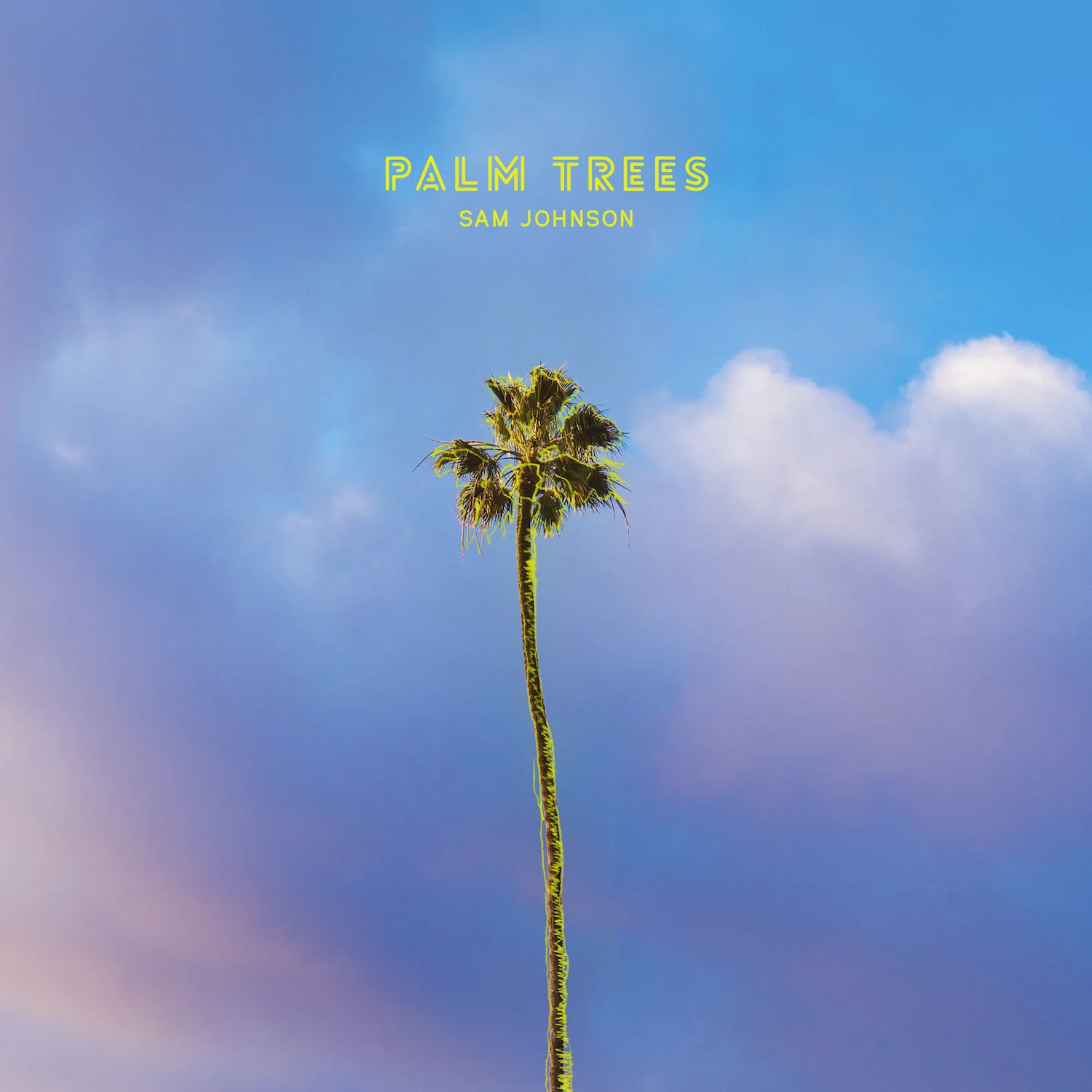 Sam Johnson : Palm Trees