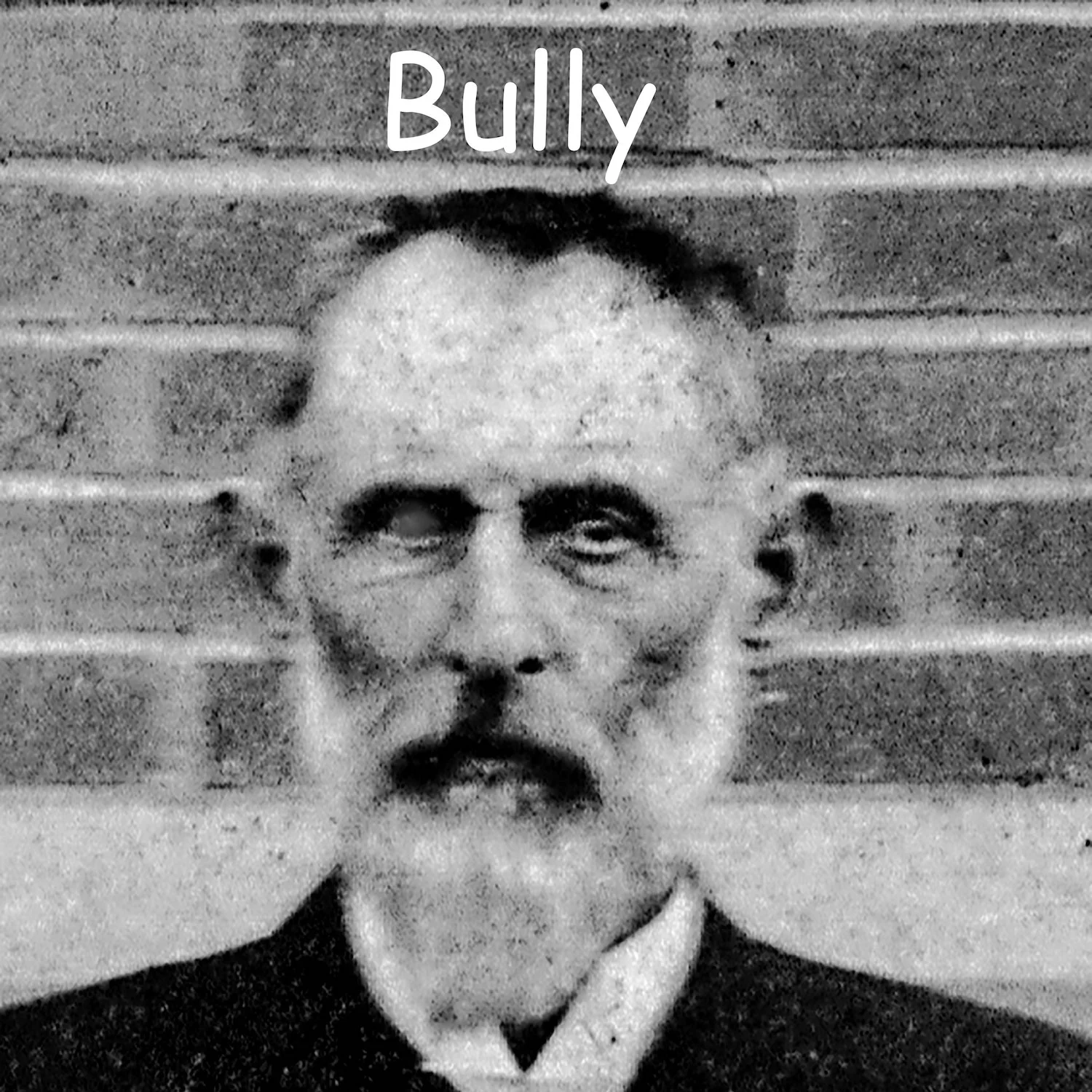 George Montgomery Dallas Davis : Bully