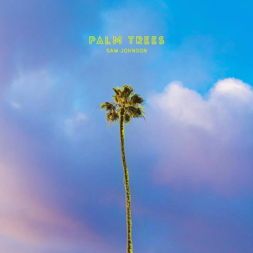 The Bay Bridged : Sam Johnson releases new pop single “Palm Trees”