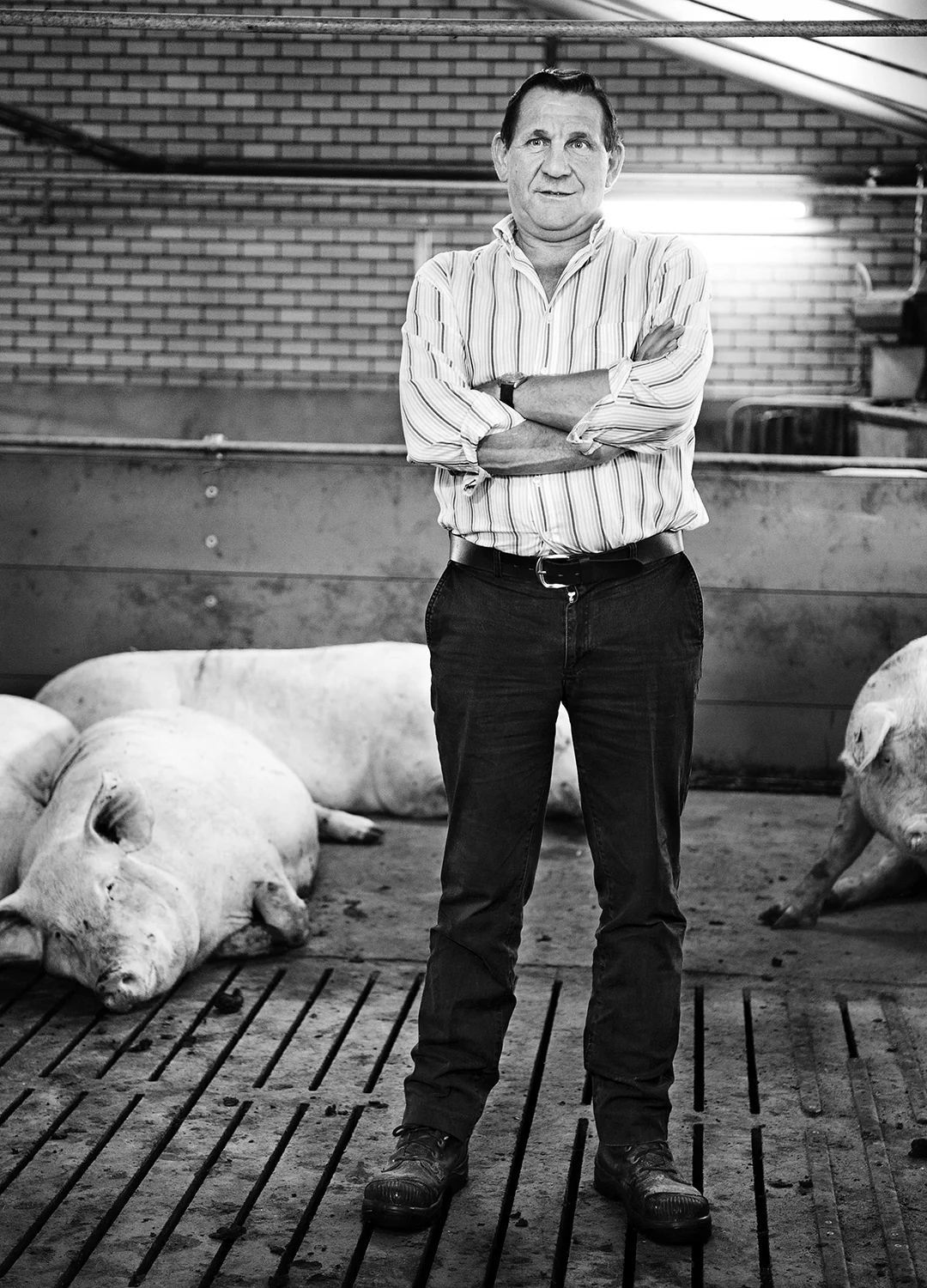 Pig Farmer Harry Henst 2/6