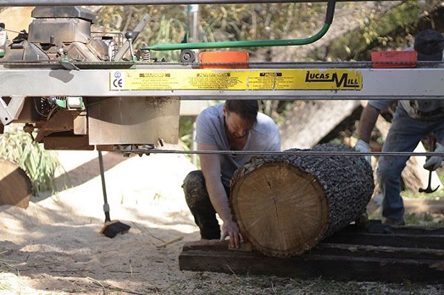 PROCESS - From fallen tree to finished furniture piece:
Logs are milled on site, or  at specialist sawmills in the Adelaide Hills. 
We always mill &lsquo;through and through&rsquo; into slabs for the maximum recovery and the most interesting material