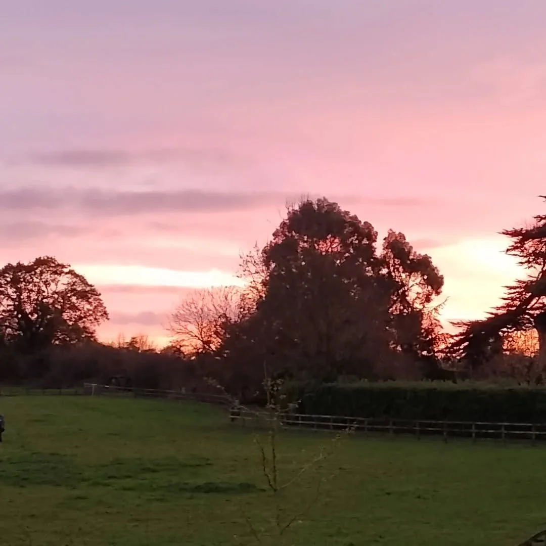 Beautiful sunset tonight.

#novembersunset #sunsettonight #suffolksunset