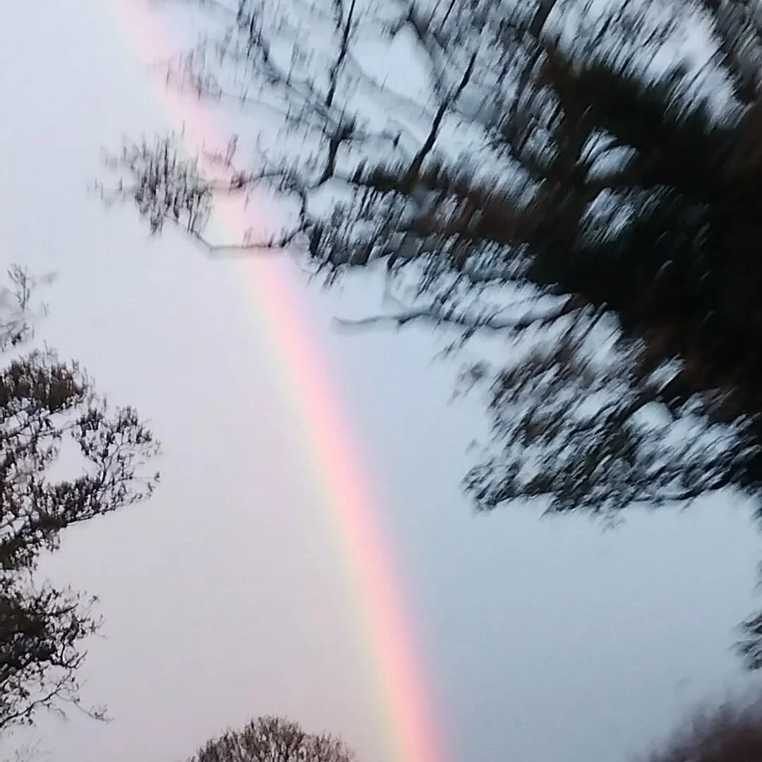 Early start today and we are heading towards the end of this rainbow; The Assembly House, Norwich for today's Christmas event between 10am and 4pm.

Lots of unique gifts and the wonderful Assembly House food to enjoy as well.  Hope to see you there.
