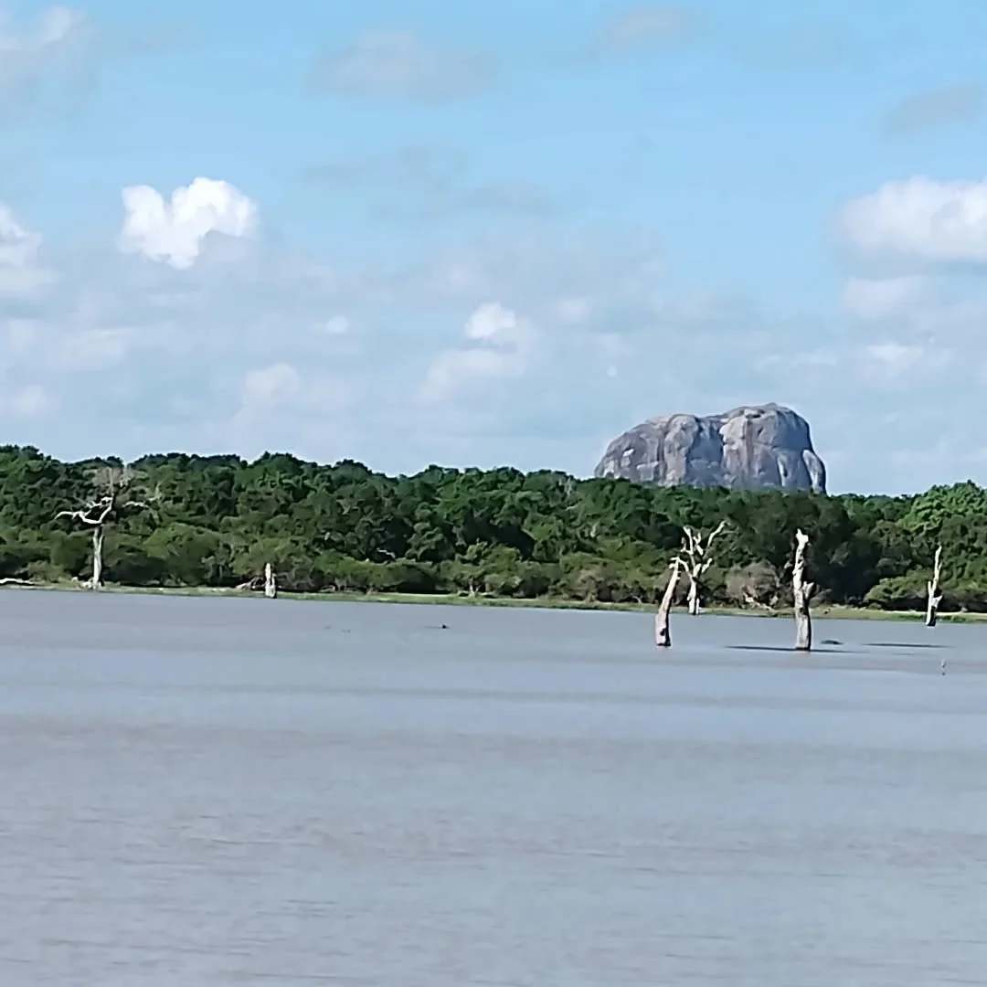 This is Yala National Park. 

It's not just the animals that take your breath away.

#yalanationalpark #srilankasafari #srilankaviews #hottourism #spectacularviews