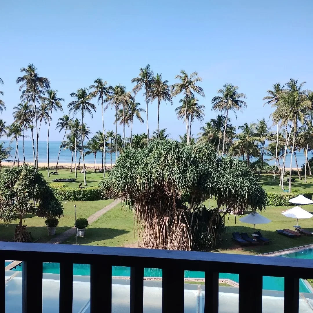 This is the view from our room today - the blue Indian Ocean through palm trees.

The temperature is 31 degrees but feels more, even with the gentle breeze from the sea. 

#srilankaholiday #indianoceanview #hotelroomview #bluewaterhotelwadduwa #hotto