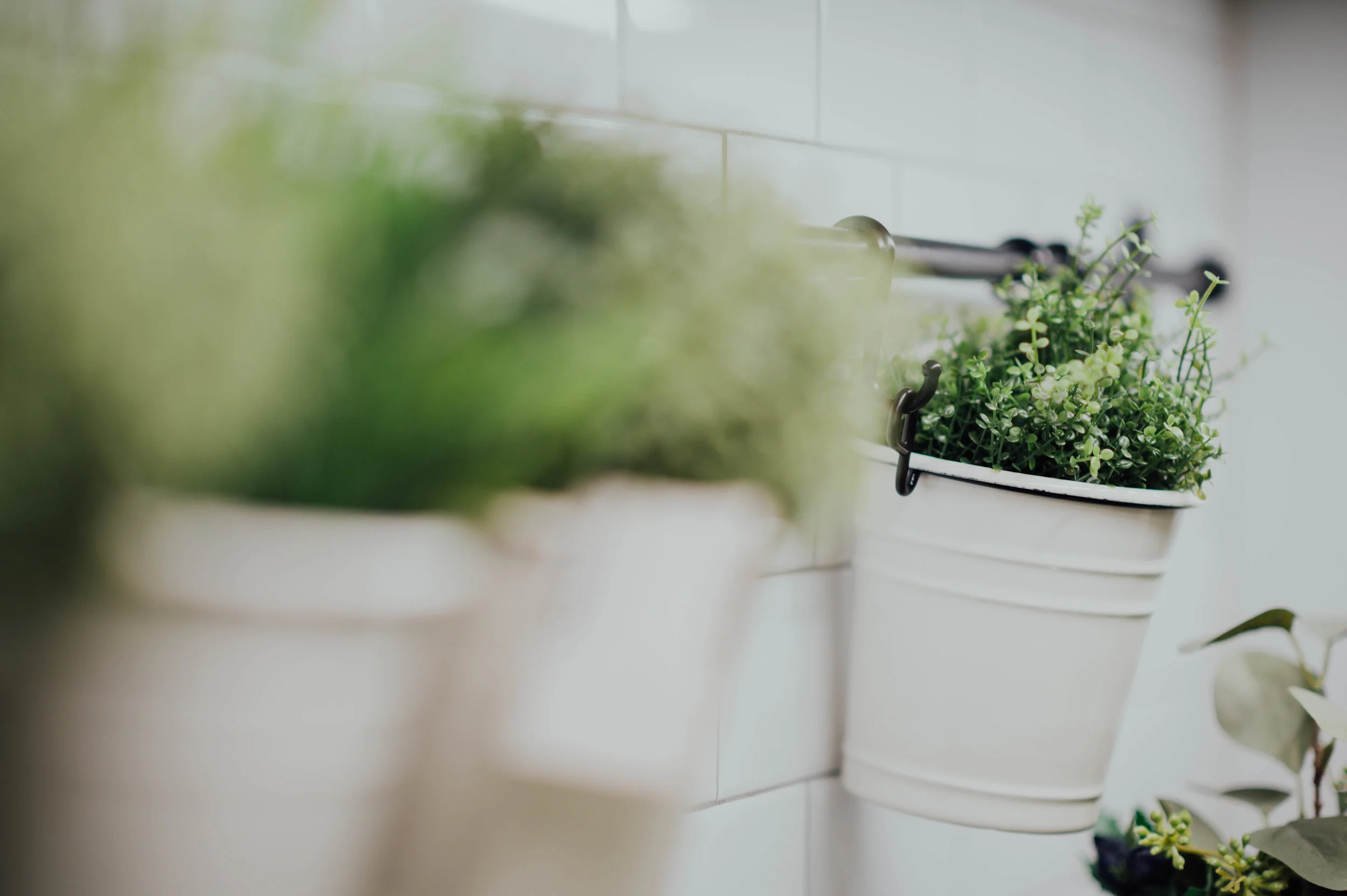 Growing your own herbs makes you eco-friendly, lowers your carbon footprint, saves you money and makes you look like a proper domestic goddess!