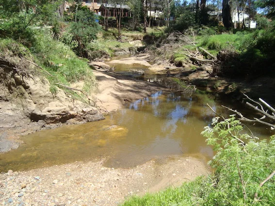 Website urban streams Crop to include houses.JPG