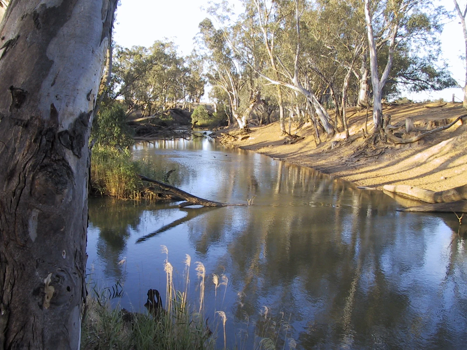 Website Rural Streams Loddon River.jpg