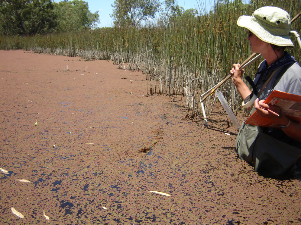Managment of Wetlands, Lakes and Estuaries