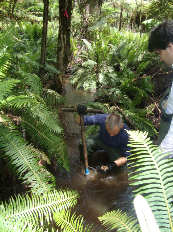 Geomorphic Investivations and Assessments